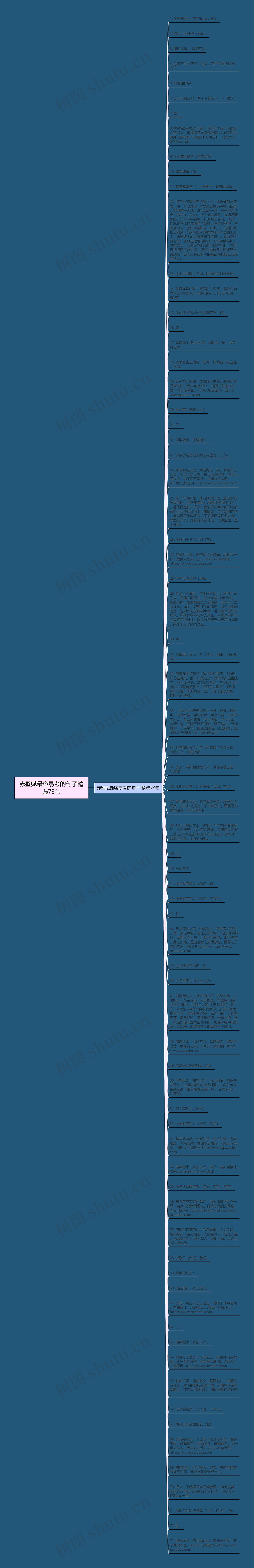 赤壁赋最容易考的句子精选73句思维导图