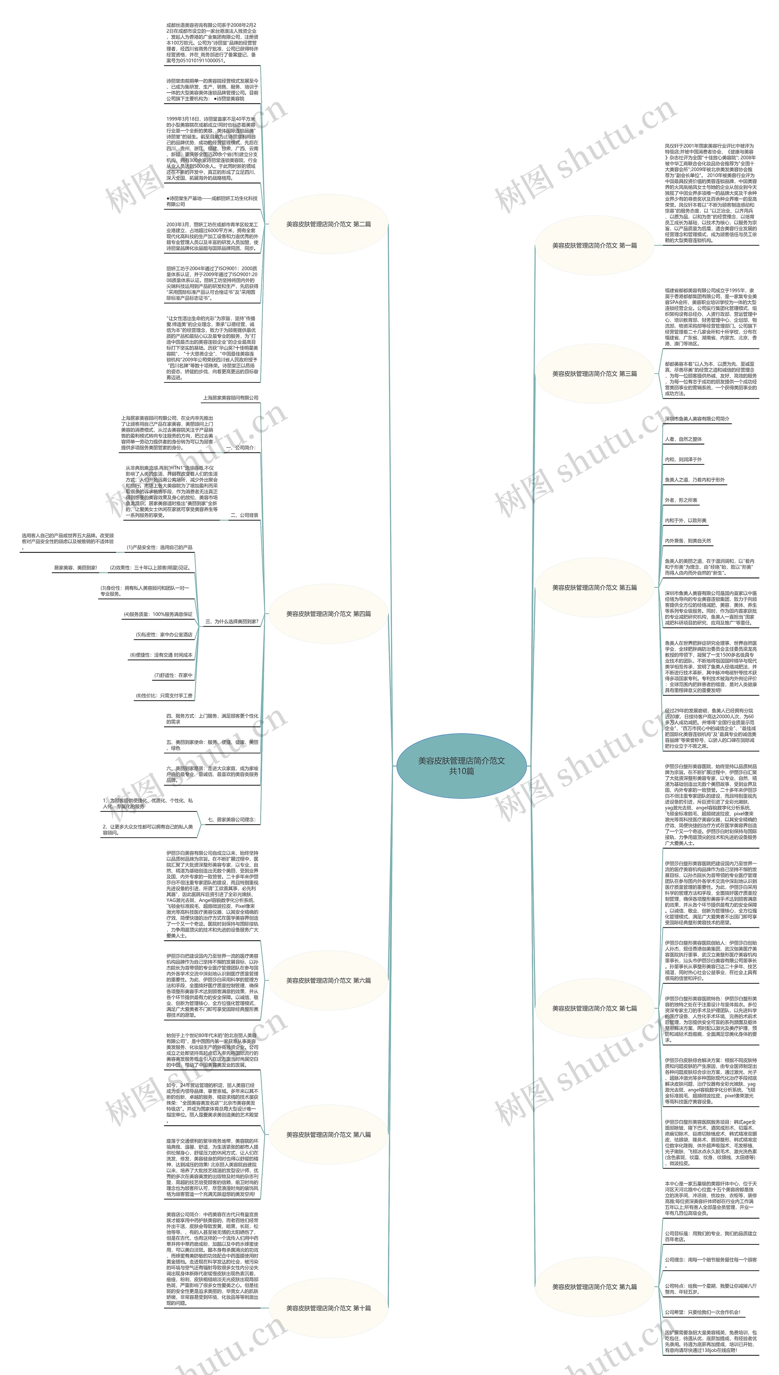 美容皮肤管理店简介范文共10篇思维导图