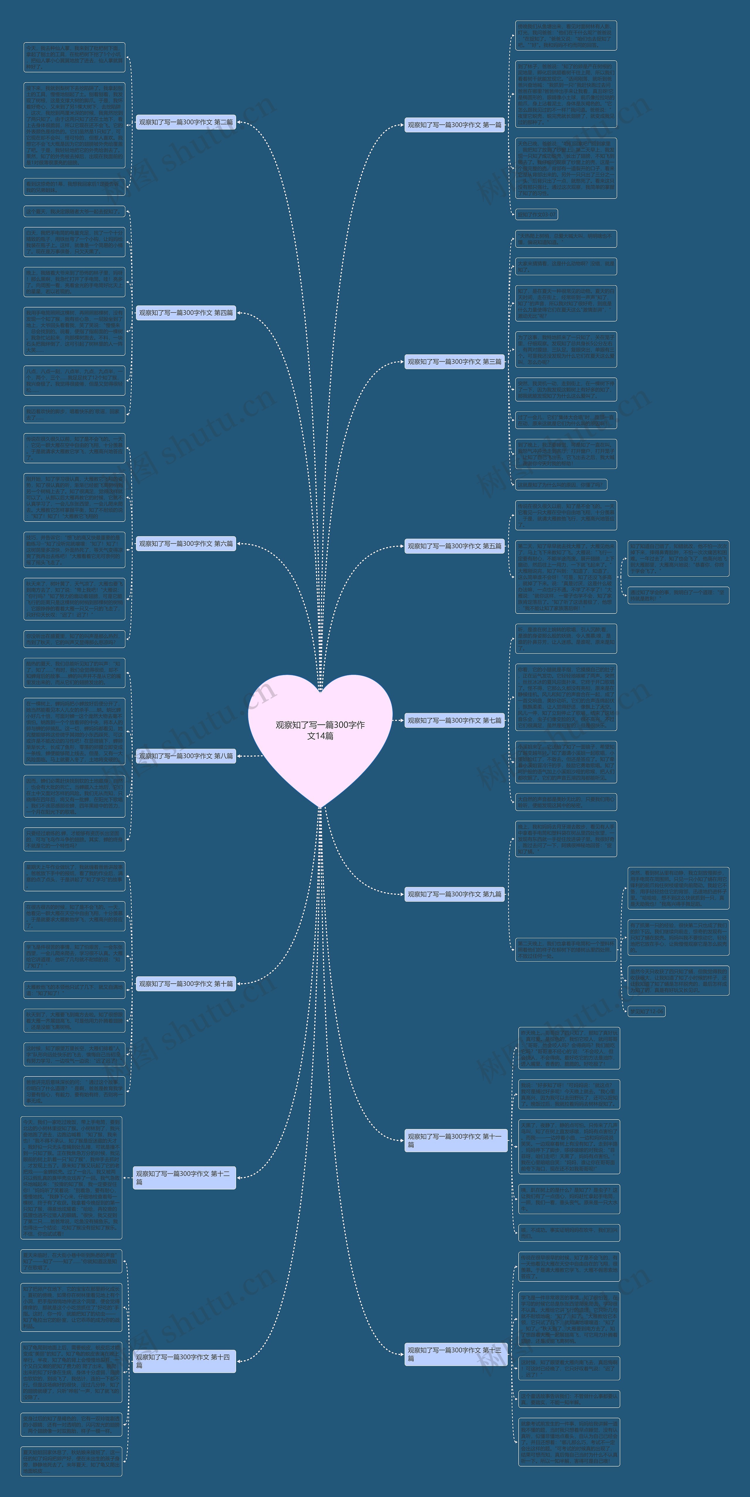 观察知了写一篇300字作文14篇思维导图