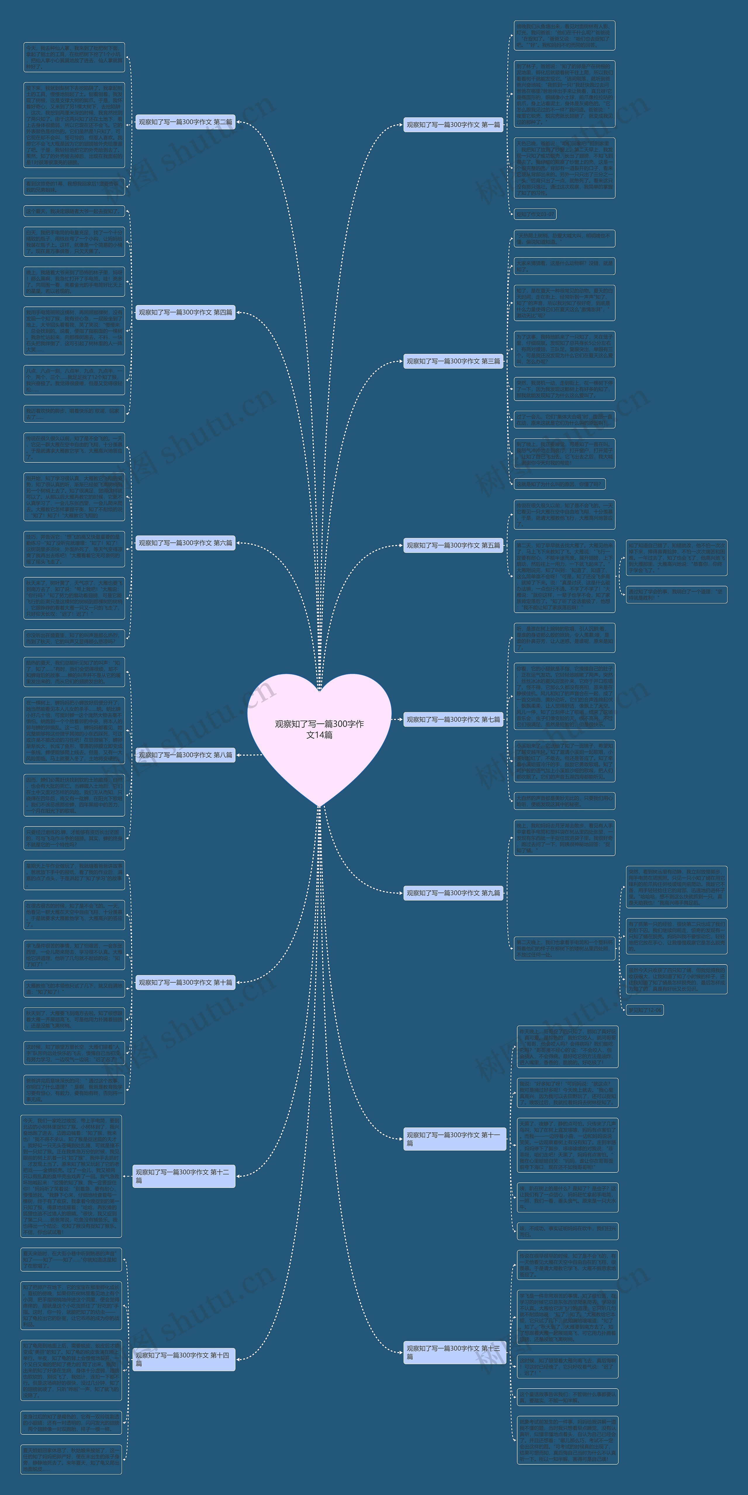 观察知了写一篇300字作文14篇 观察知了写一篇300字作文14篇