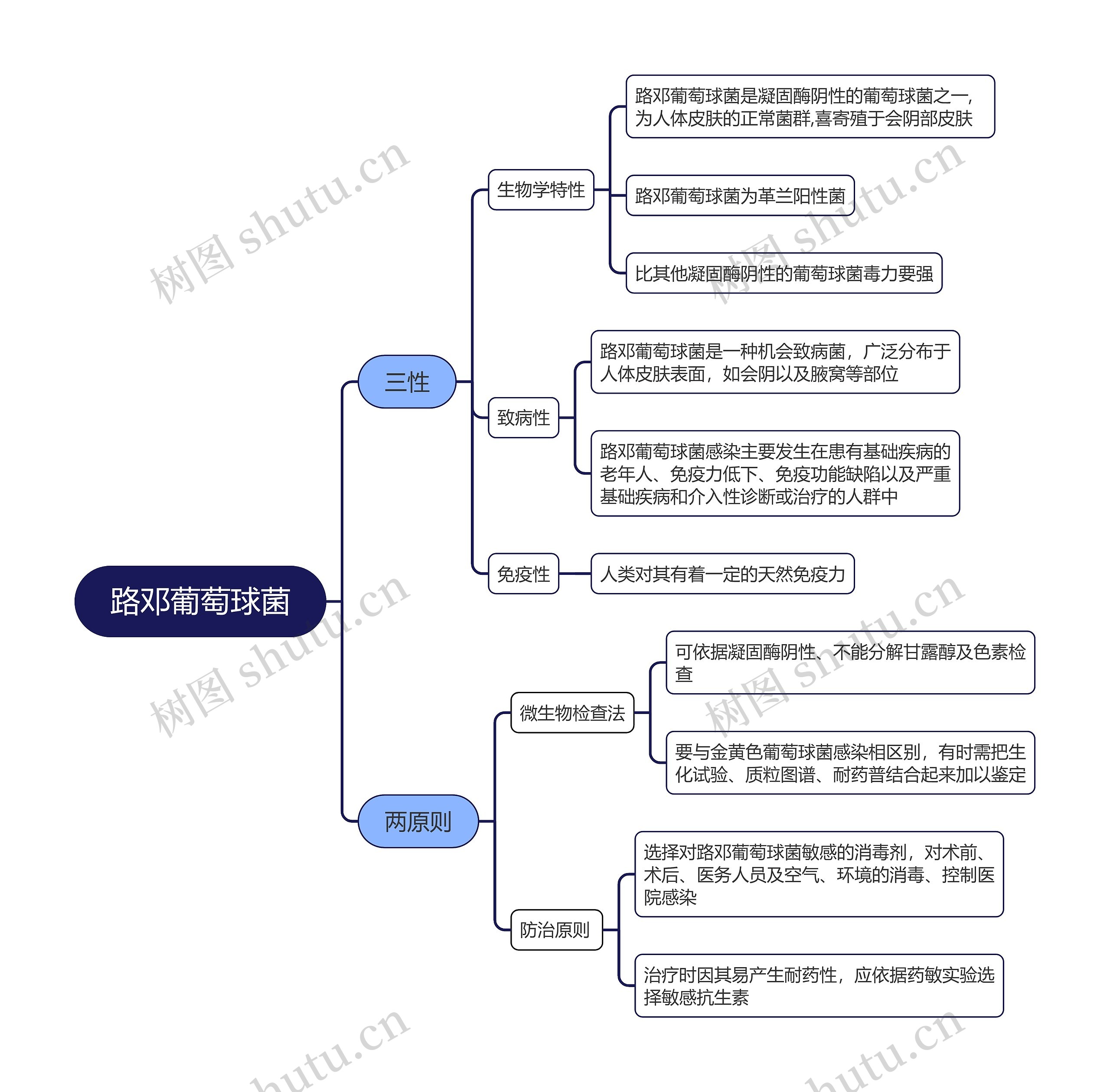 路邓葡萄球菌