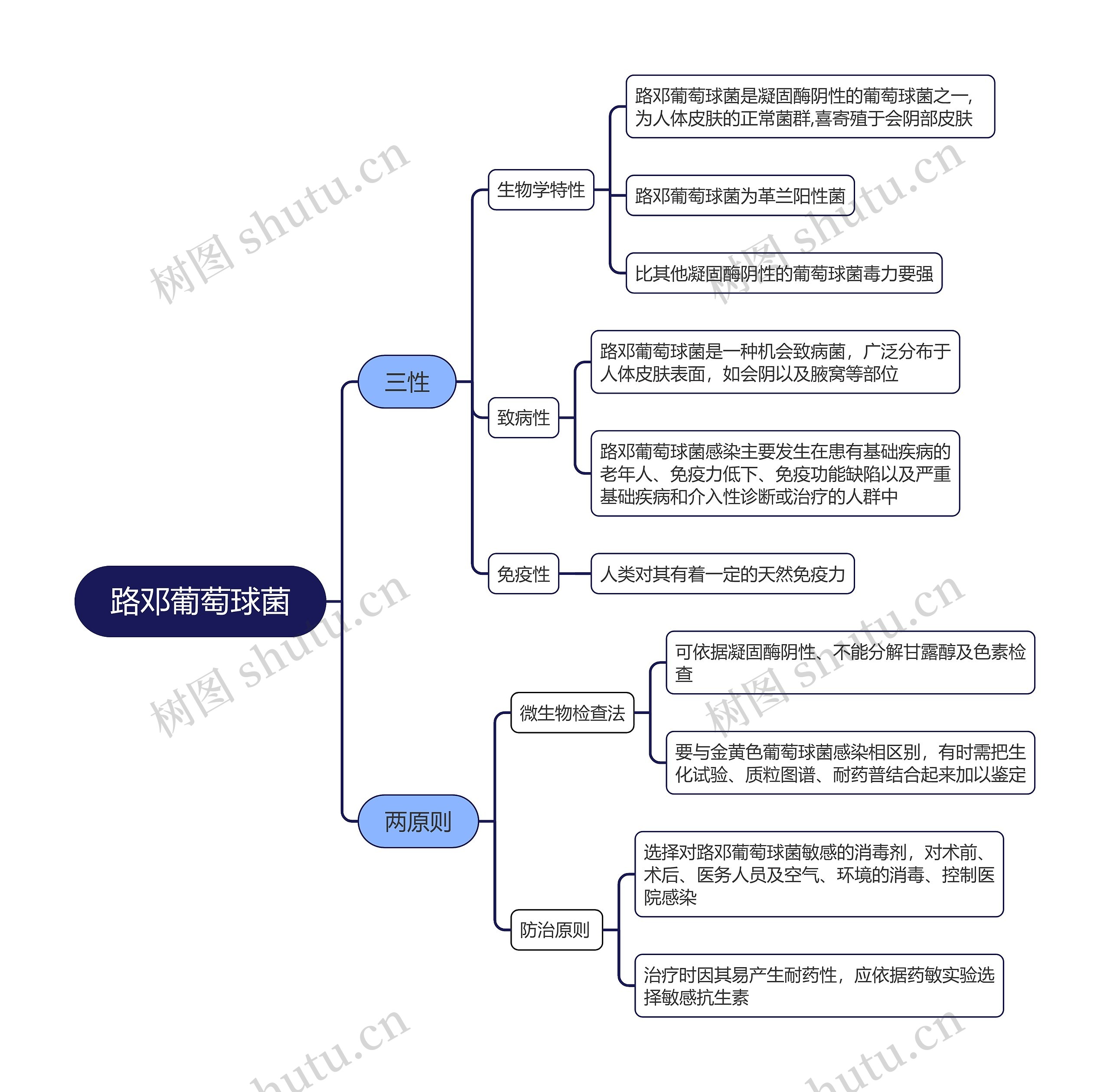 路邓葡萄球菌思维导图