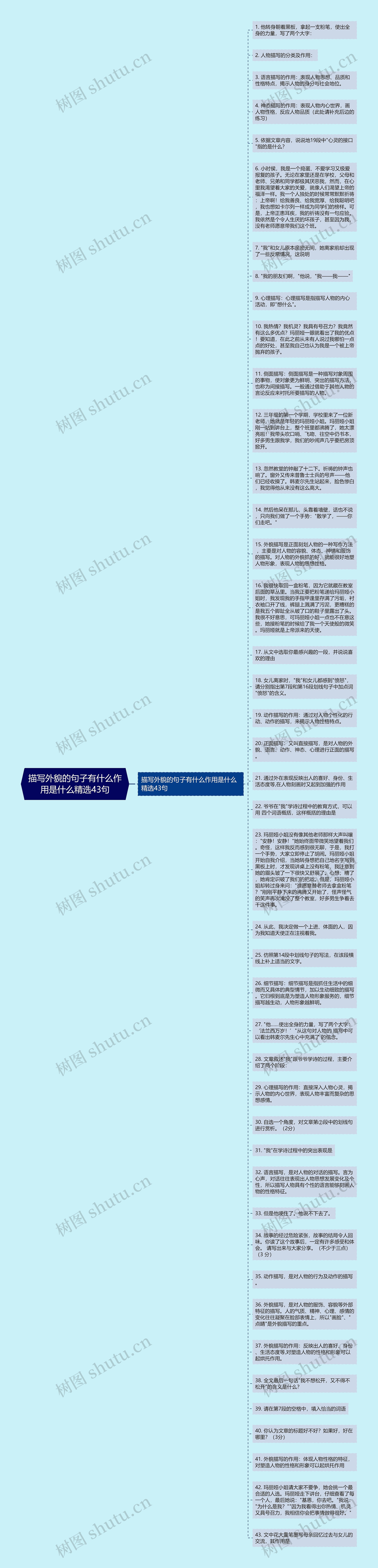 描写外貌的句子有什么作用是什么精选43句思维导图