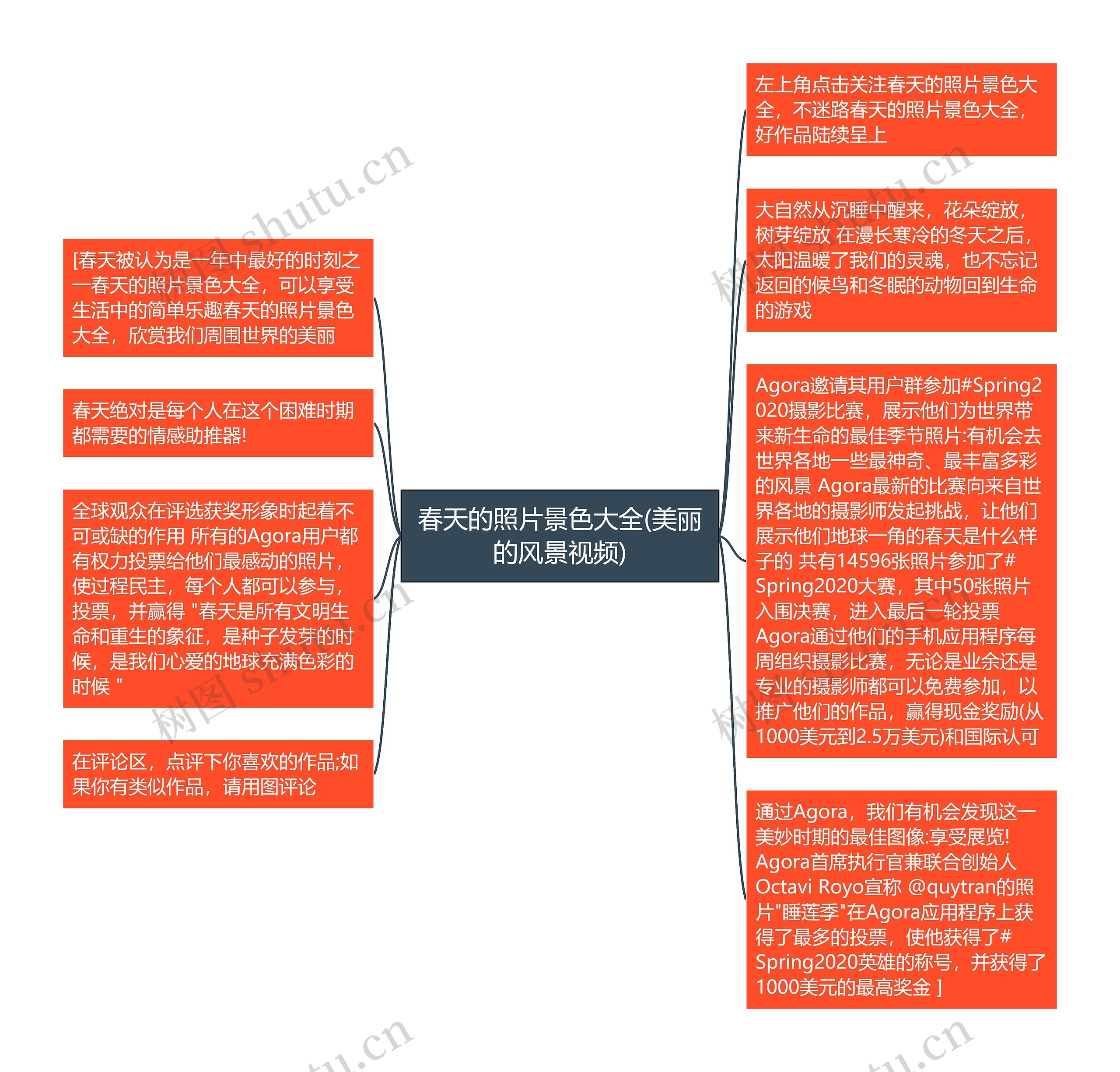 春天的照片景色大全(美丽的风景视频)思维导图