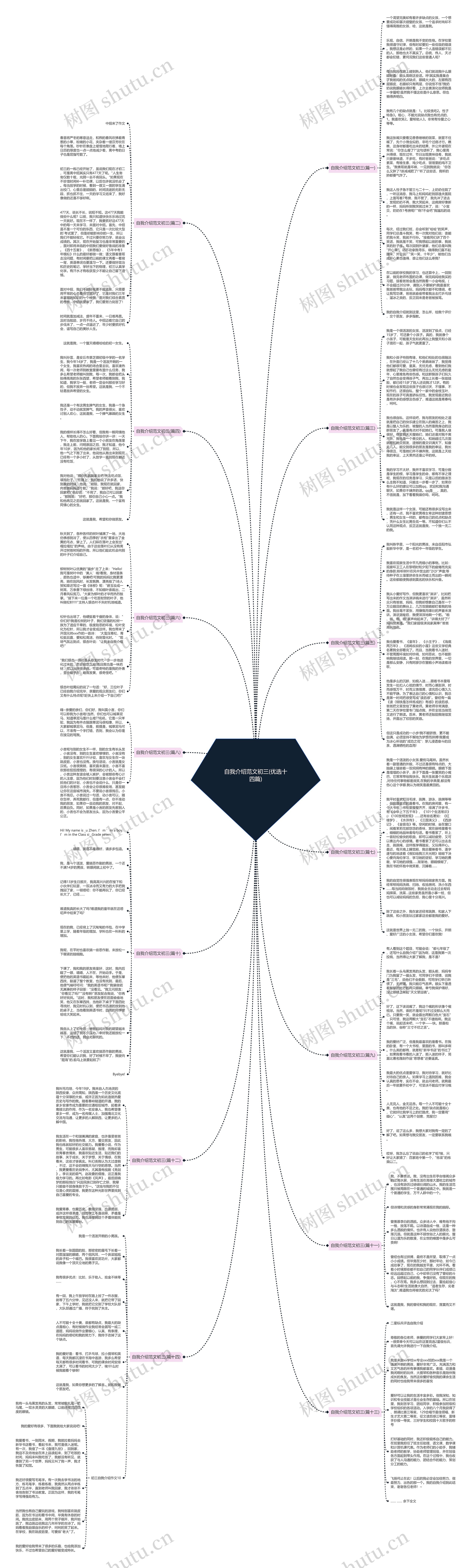 自我介绍范文初三(优选十四篇)思维导图