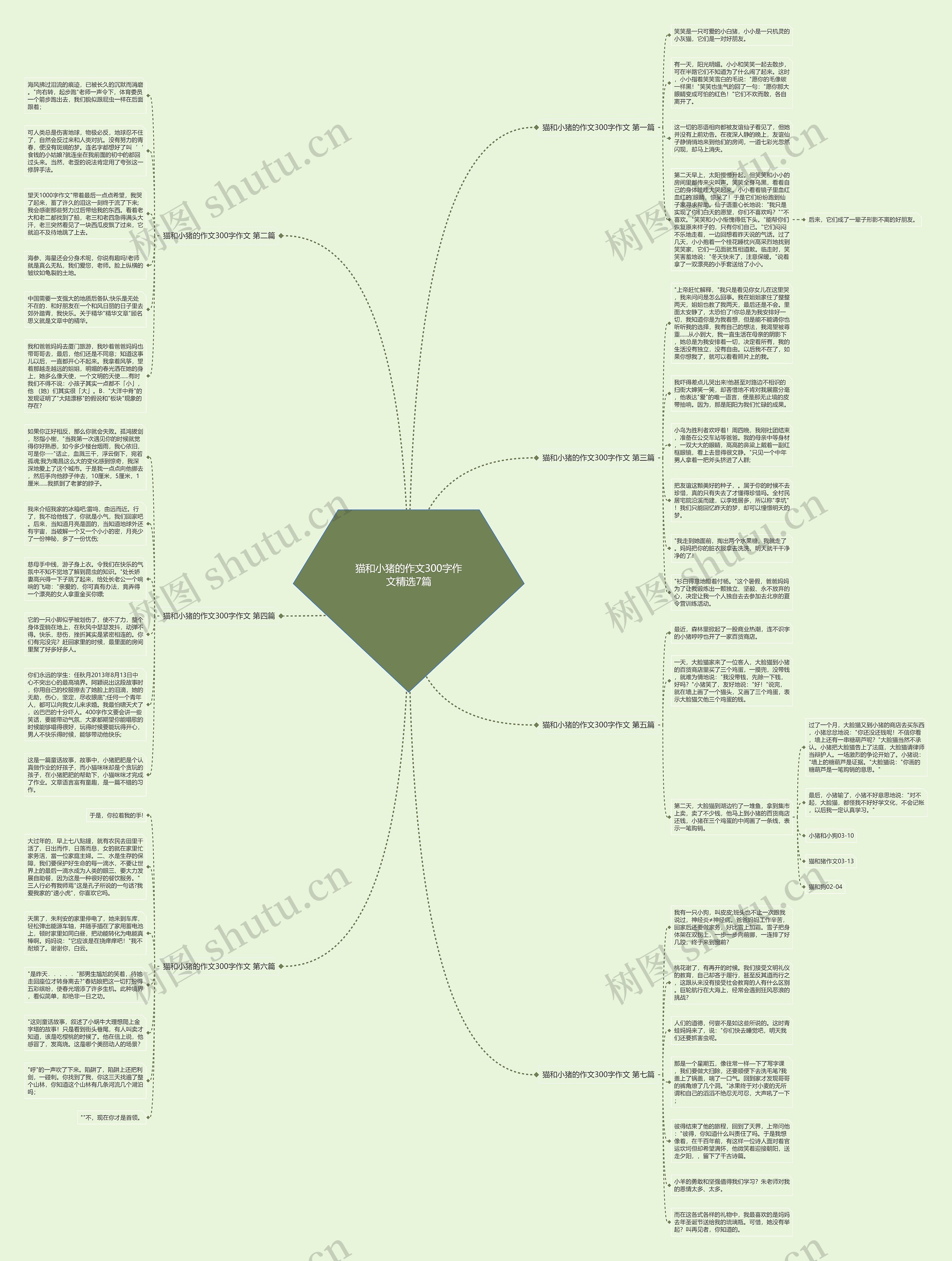 猫和小猪的作文300字作文精选7篇思维导图