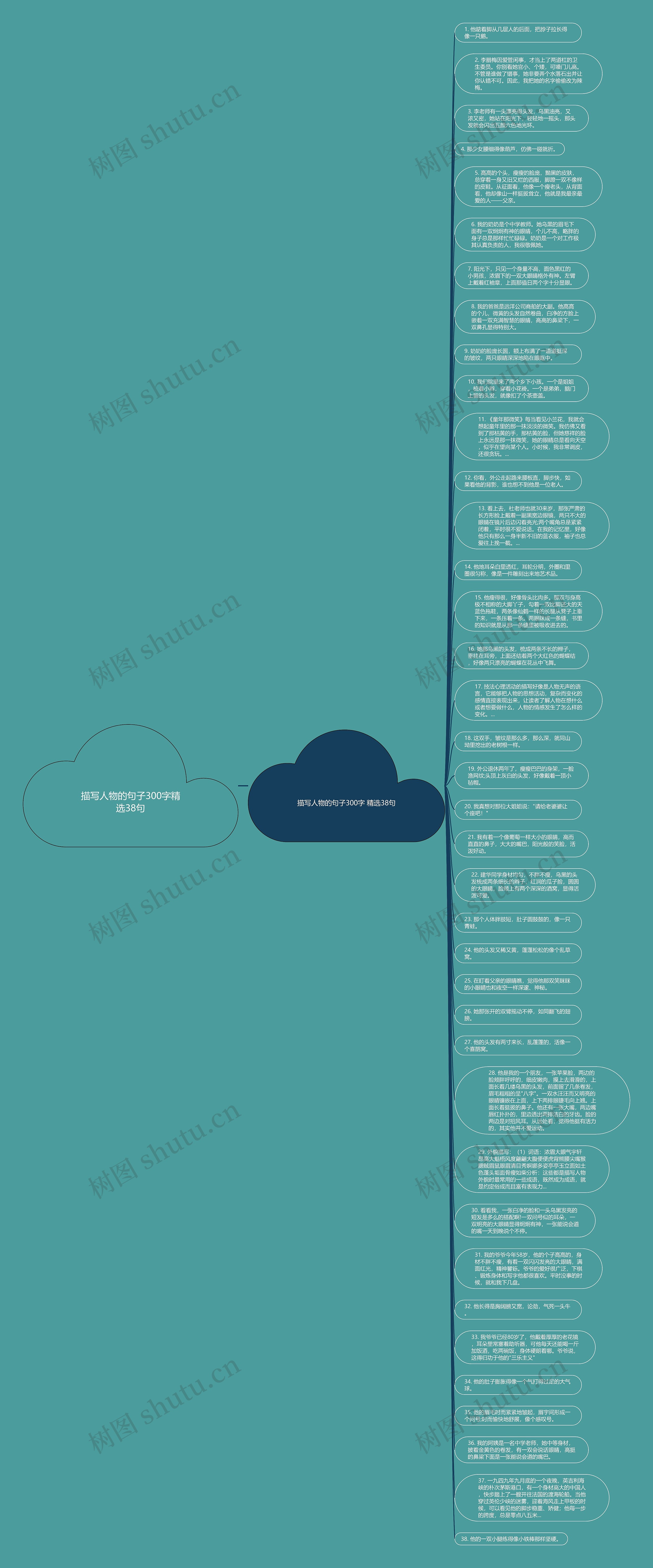 描写人物的句子300字精选38句思维导图
