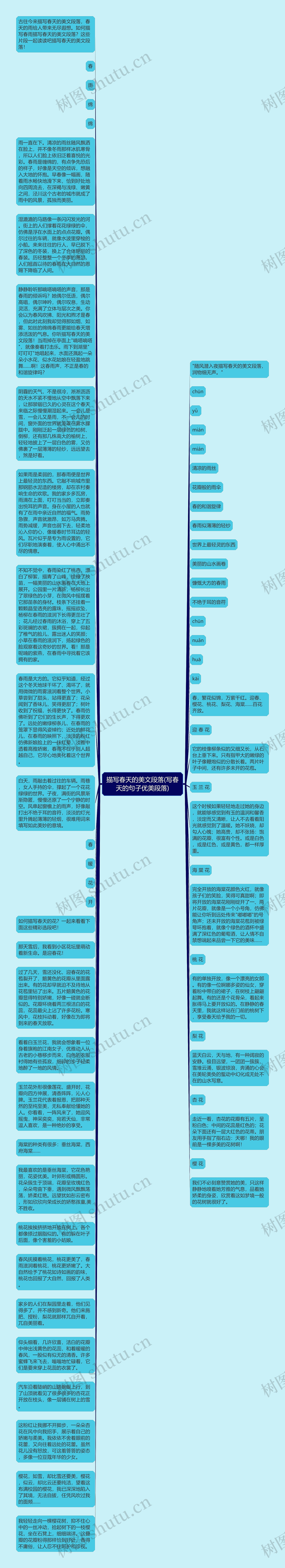 描写春天的美文段落(写春天的句子优美段落)思维导图