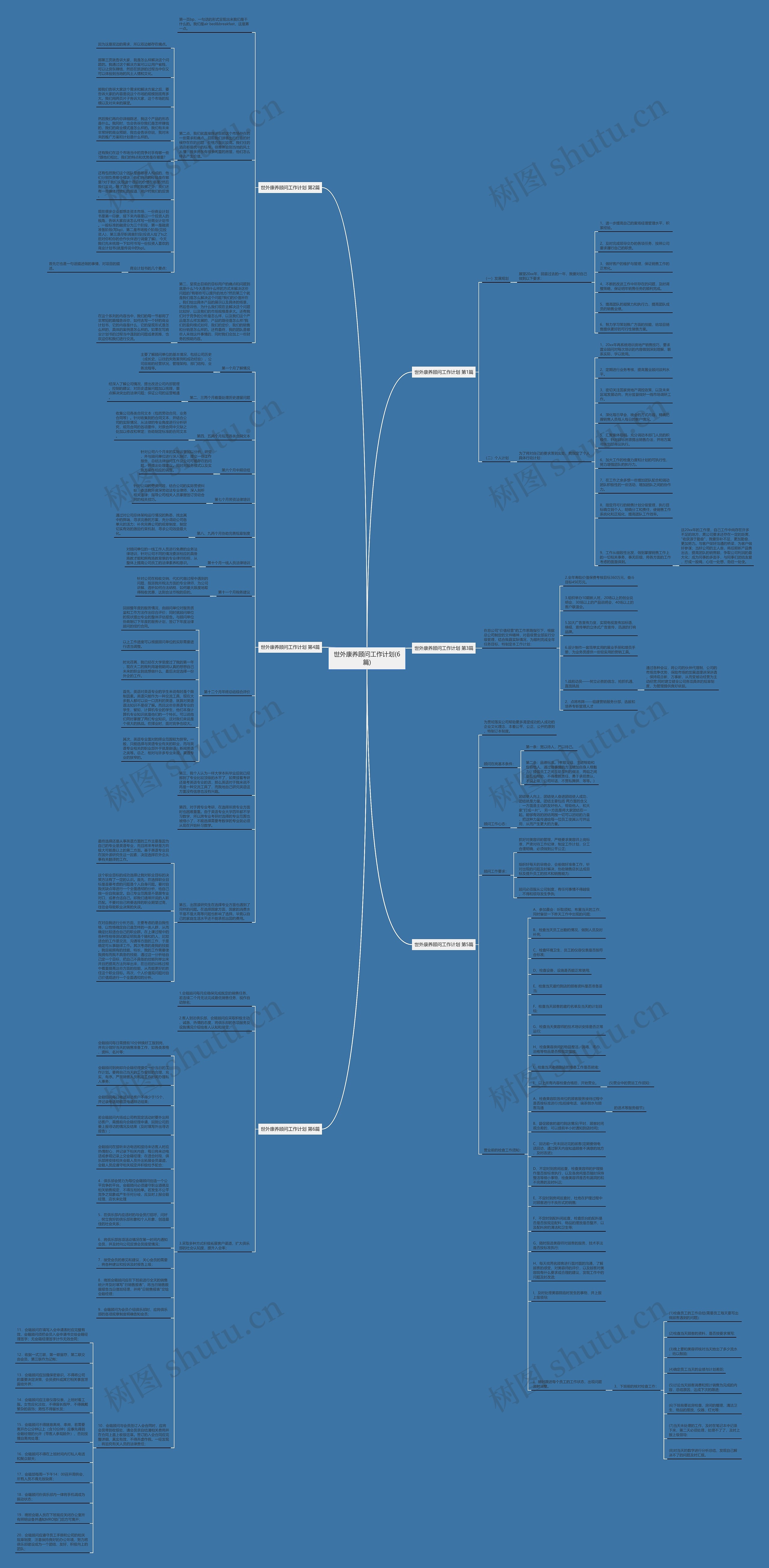 世外康养顾问工作计划(6篇)思维导图