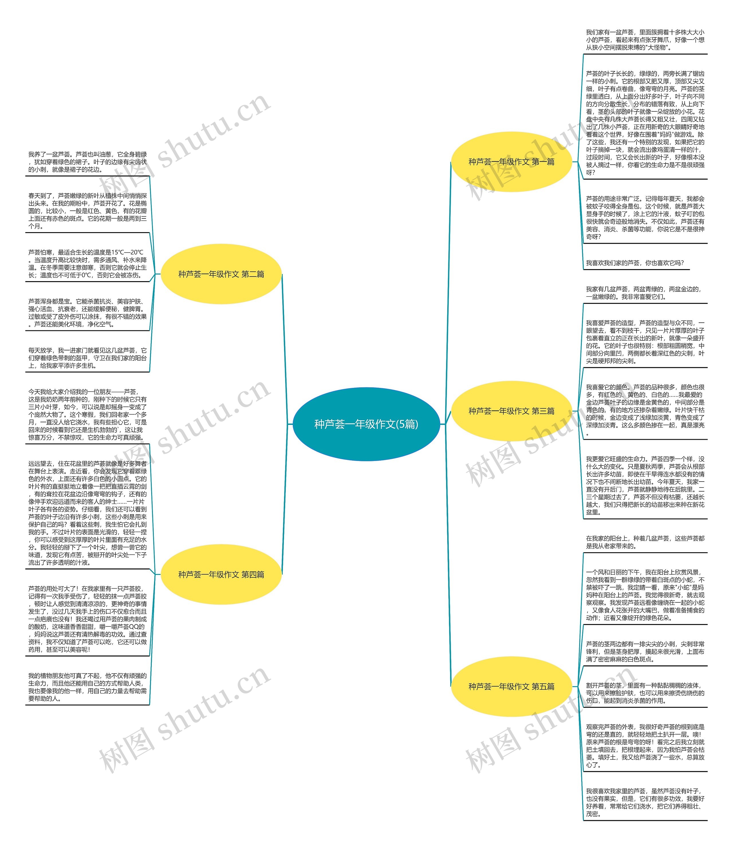 种芦荟一年级作文(5篇)思维导图