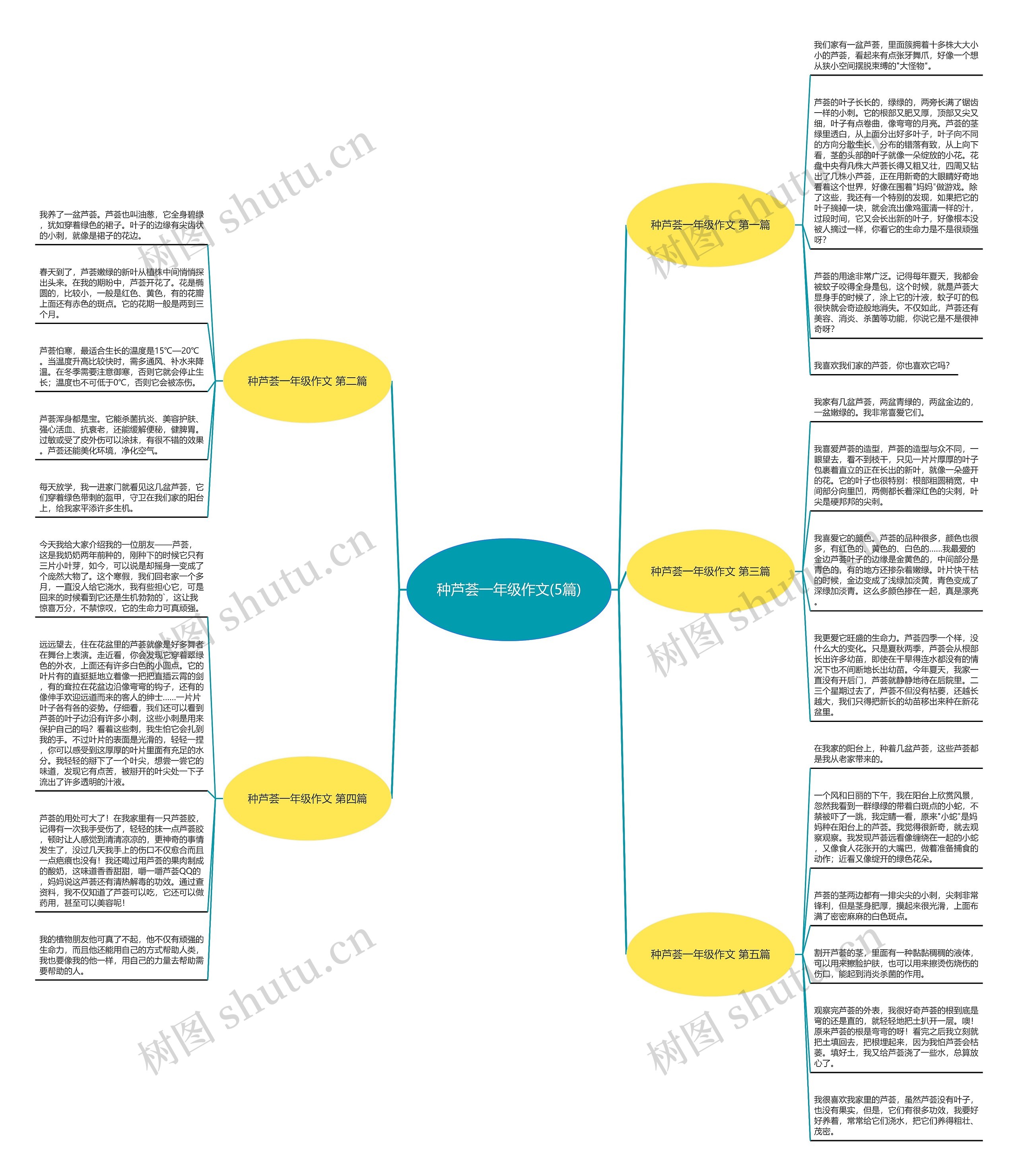 种芦荟一年级作文(5篇) 种芦荟一年级作文(5篇)