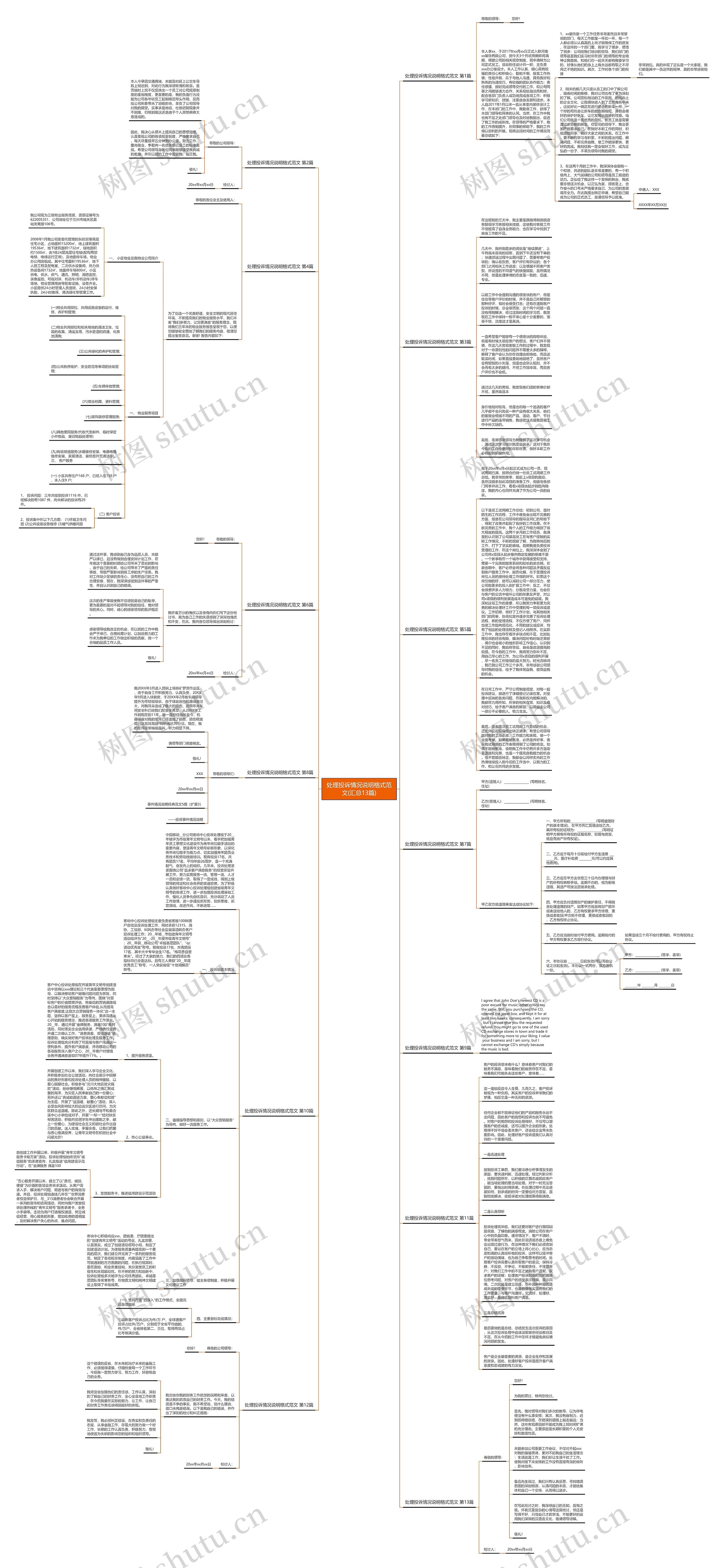 处理投诉情况说明格式范文(汇总13篇)思维导图