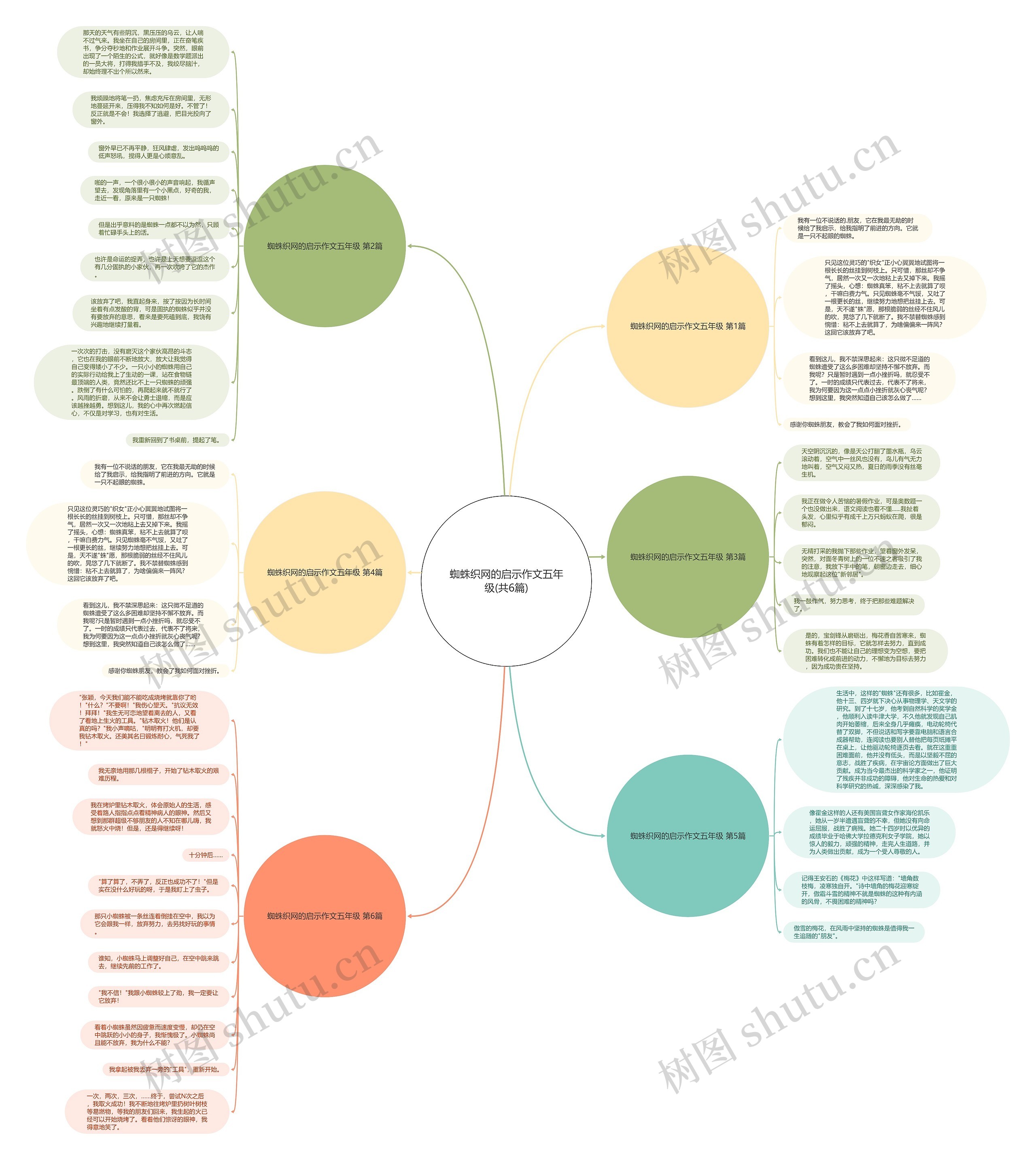 蜘蛛织网的启示作文五年级(共6篇)思维导图