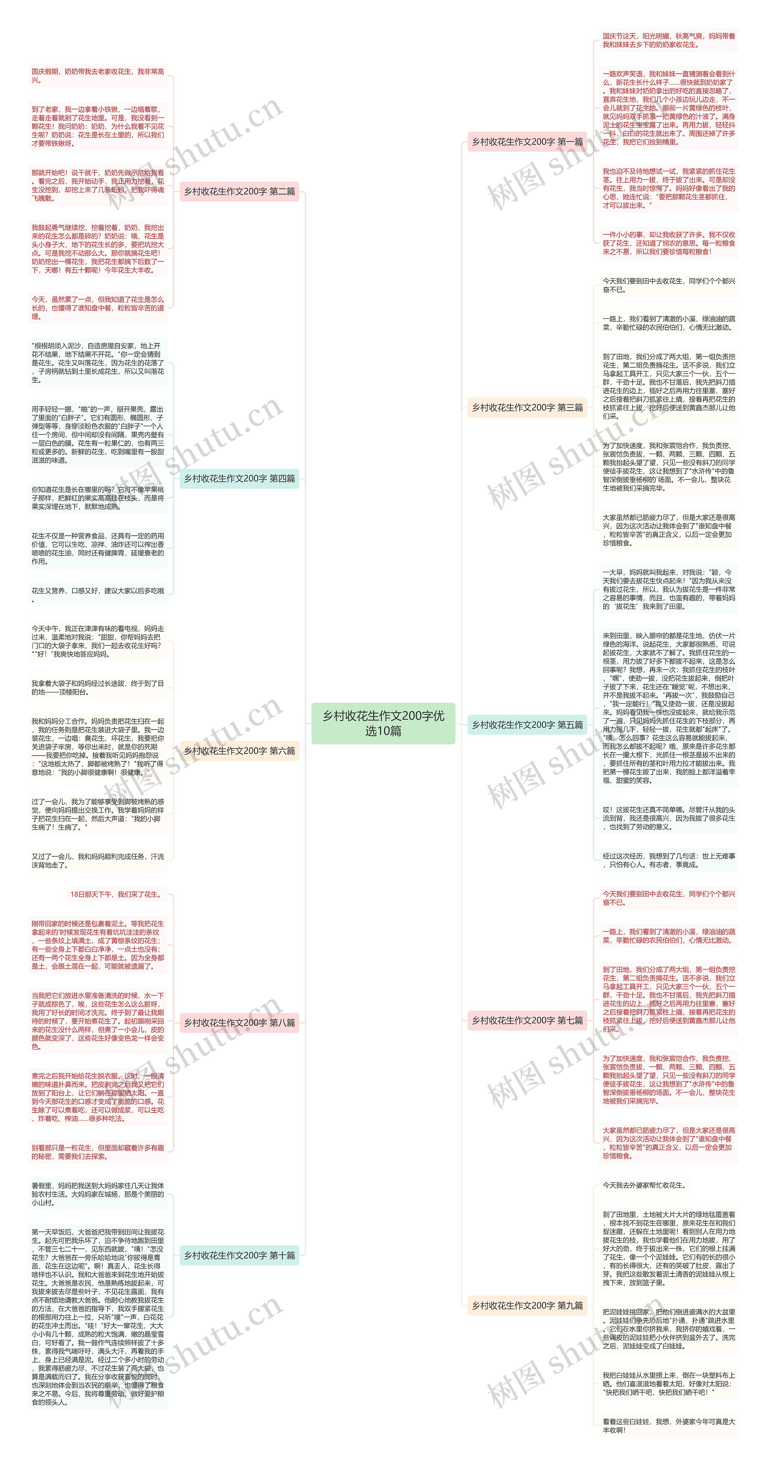 乡村收花生作文200字优选10篇思维导图