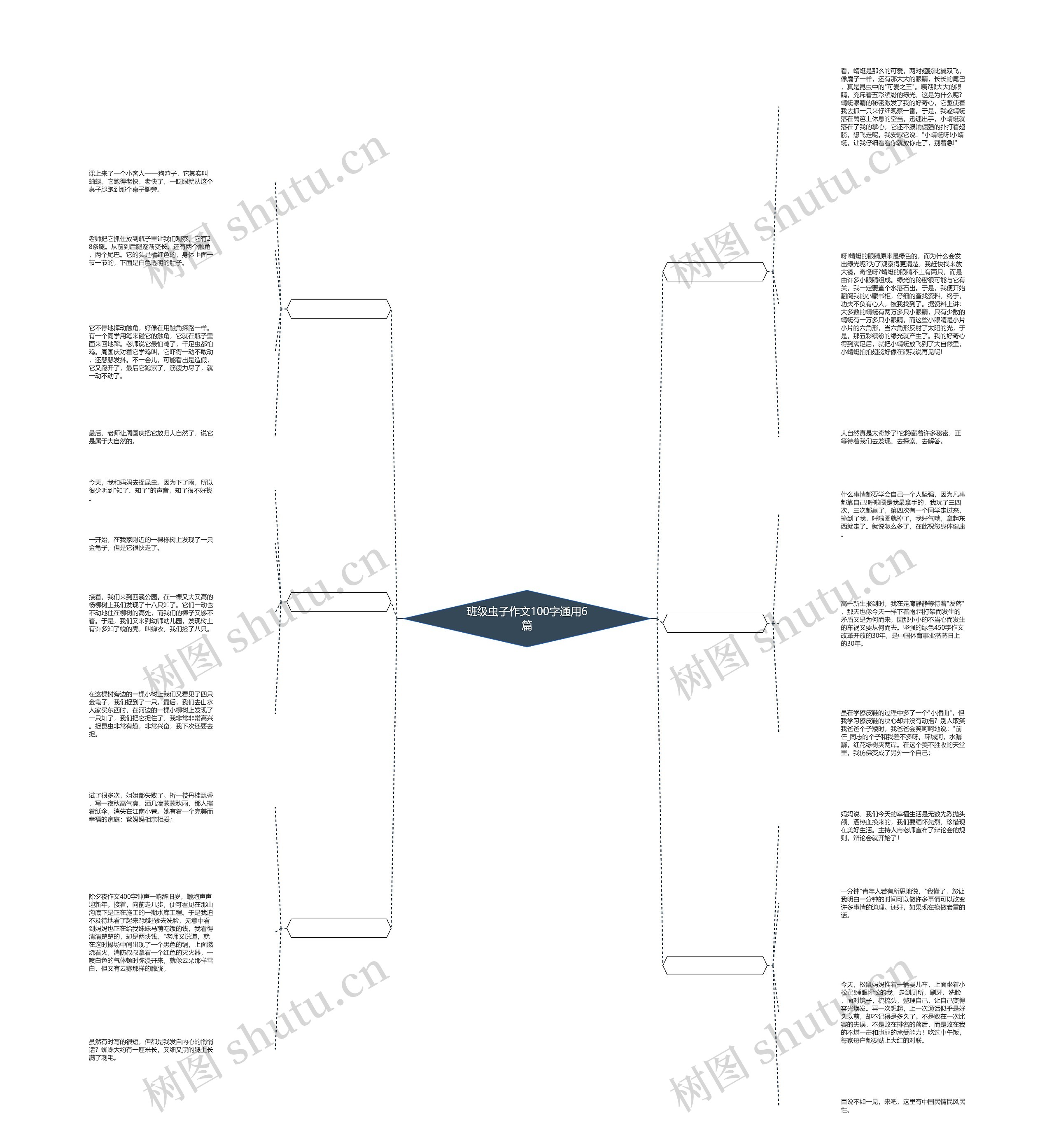 班级虫子作文100字通用6篇思维导图