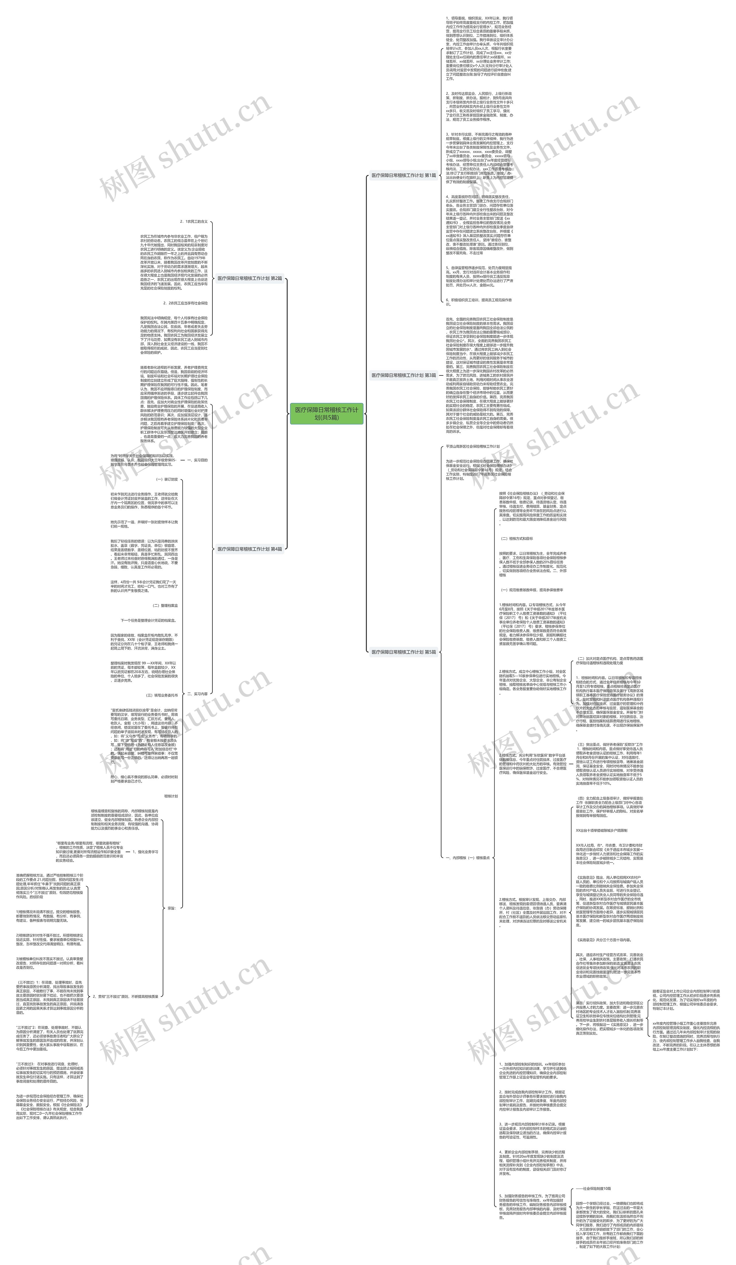 医疗保障日常稽核工作计划(共5篇)思维导图