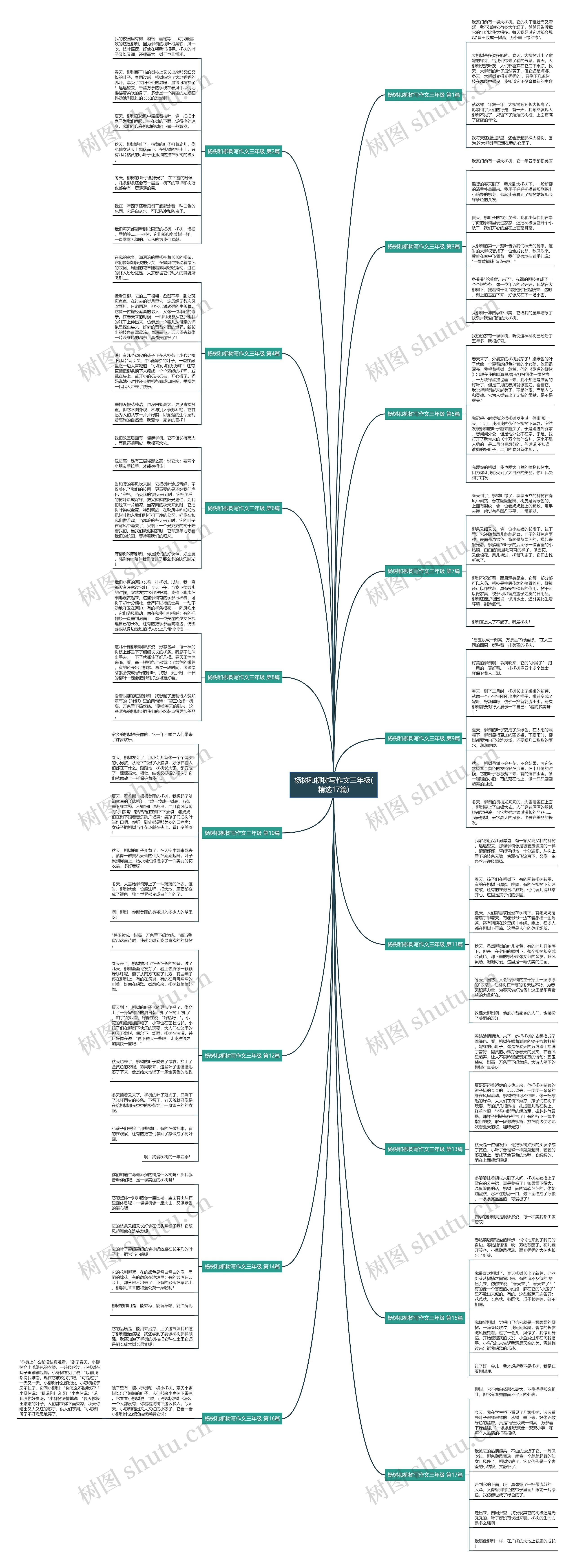 杨树和柳树写作文三年级(精选17篇)思维导图