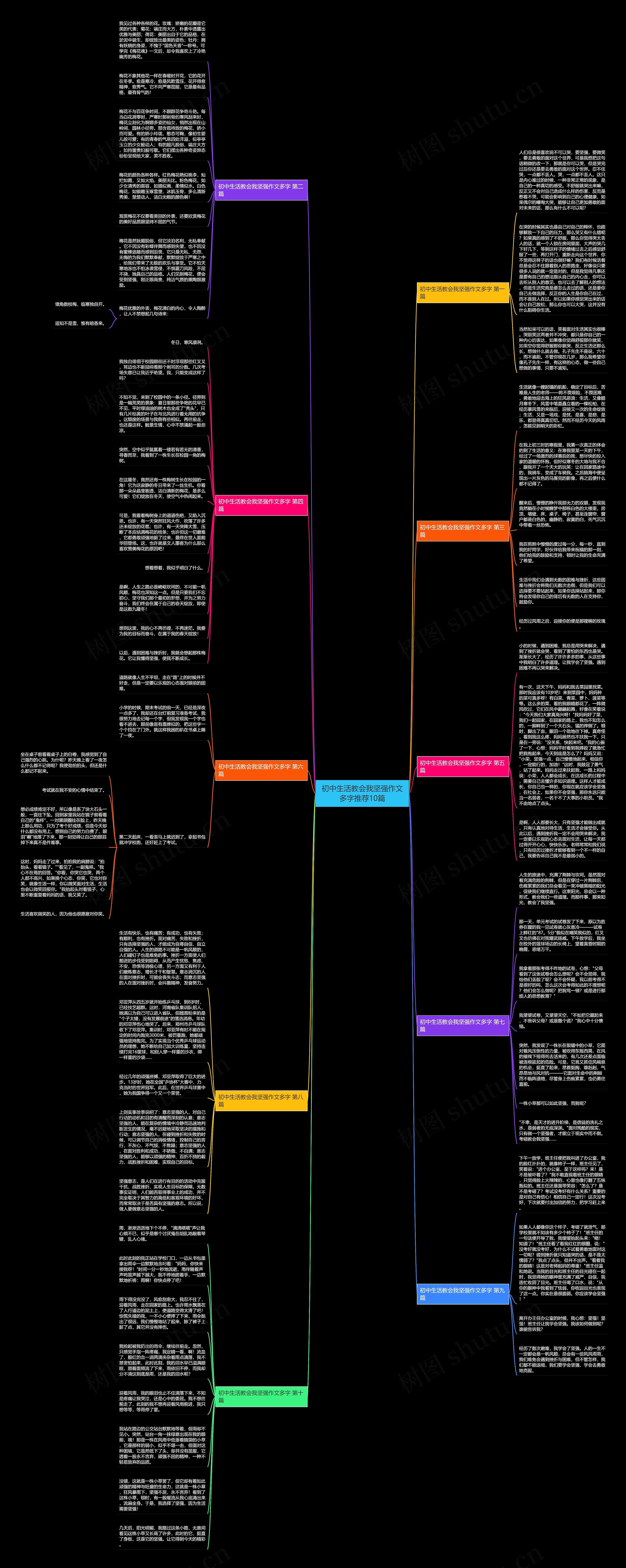 初中生活教会我坚强作文多字推荐10篇思维导图
