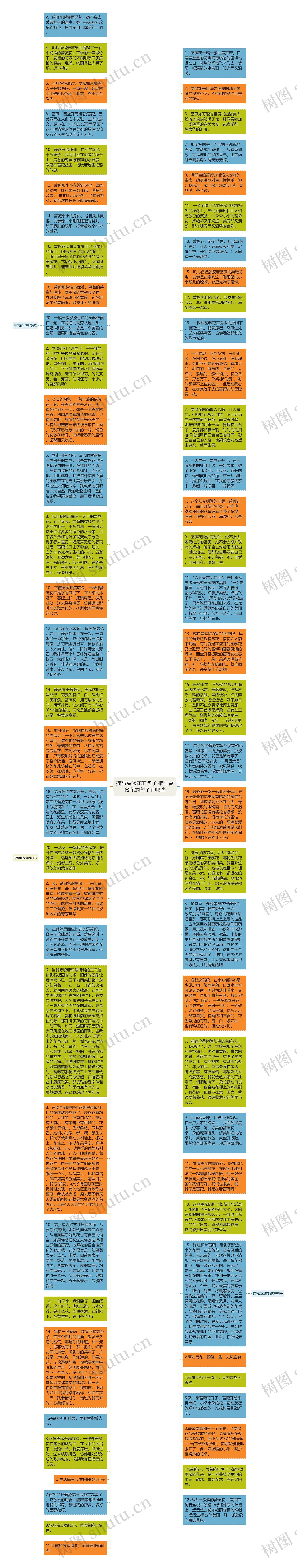 描写蔷薇花的句子 描写蔷薇花的句子有哪些思维导图