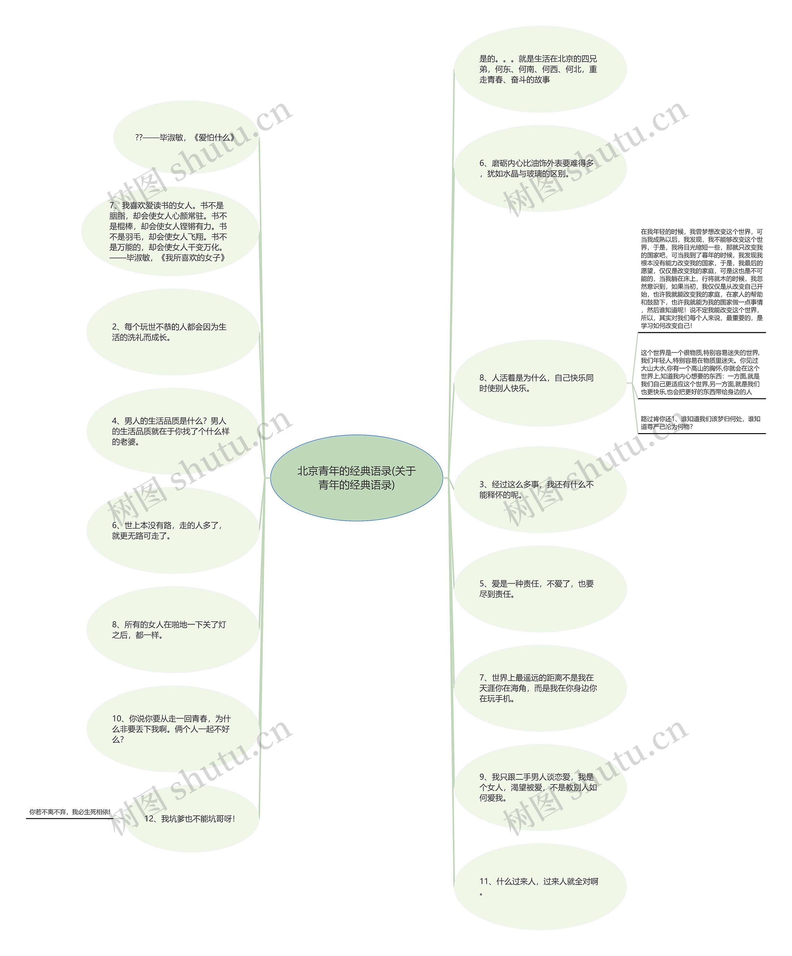 北京青年的经典语录(关于青年的经典语录)思维导图