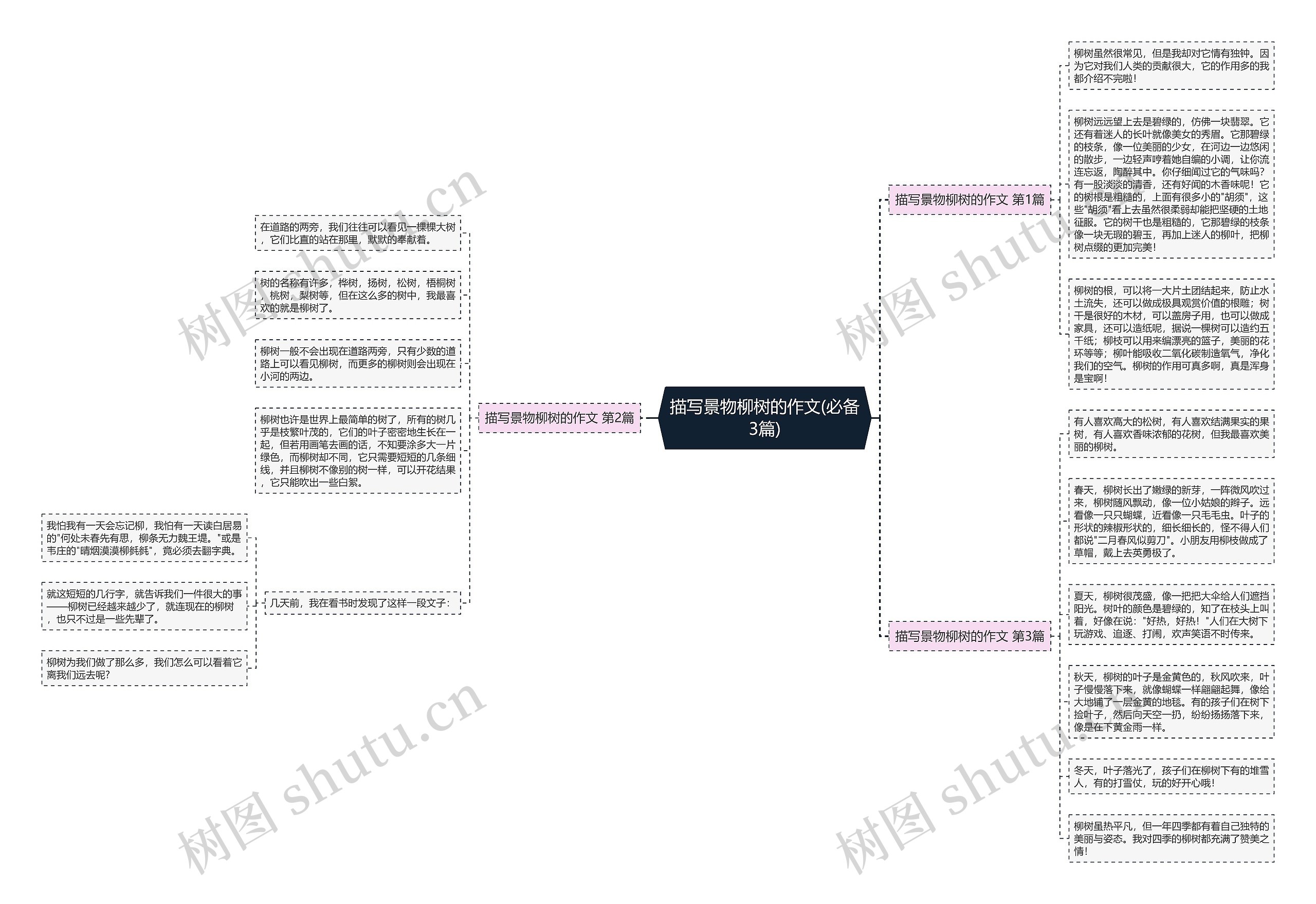 描写景物柳树的作文(必备3篇)思维导图