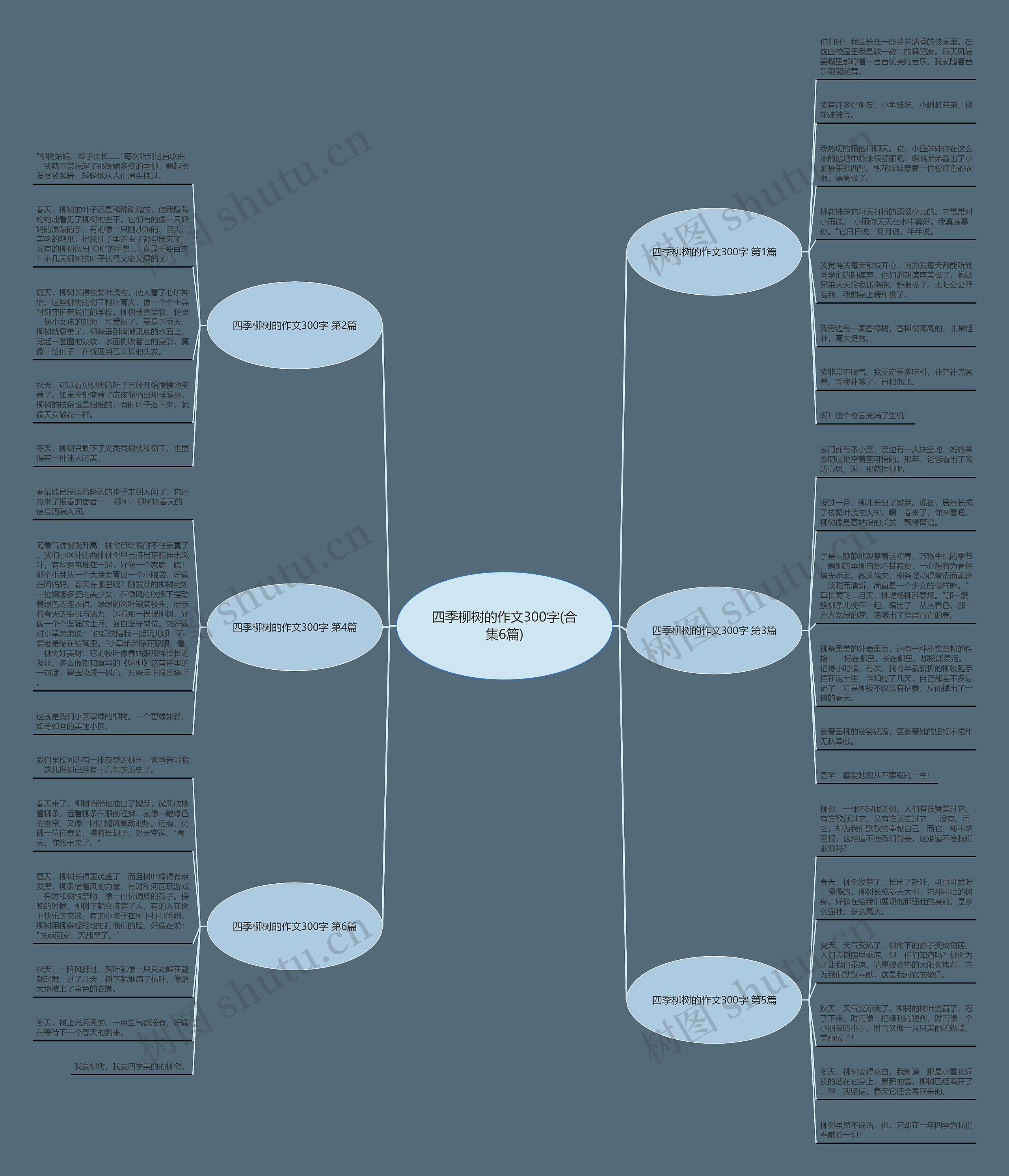 四季柳树的作文300字(合集6篇)思维导图