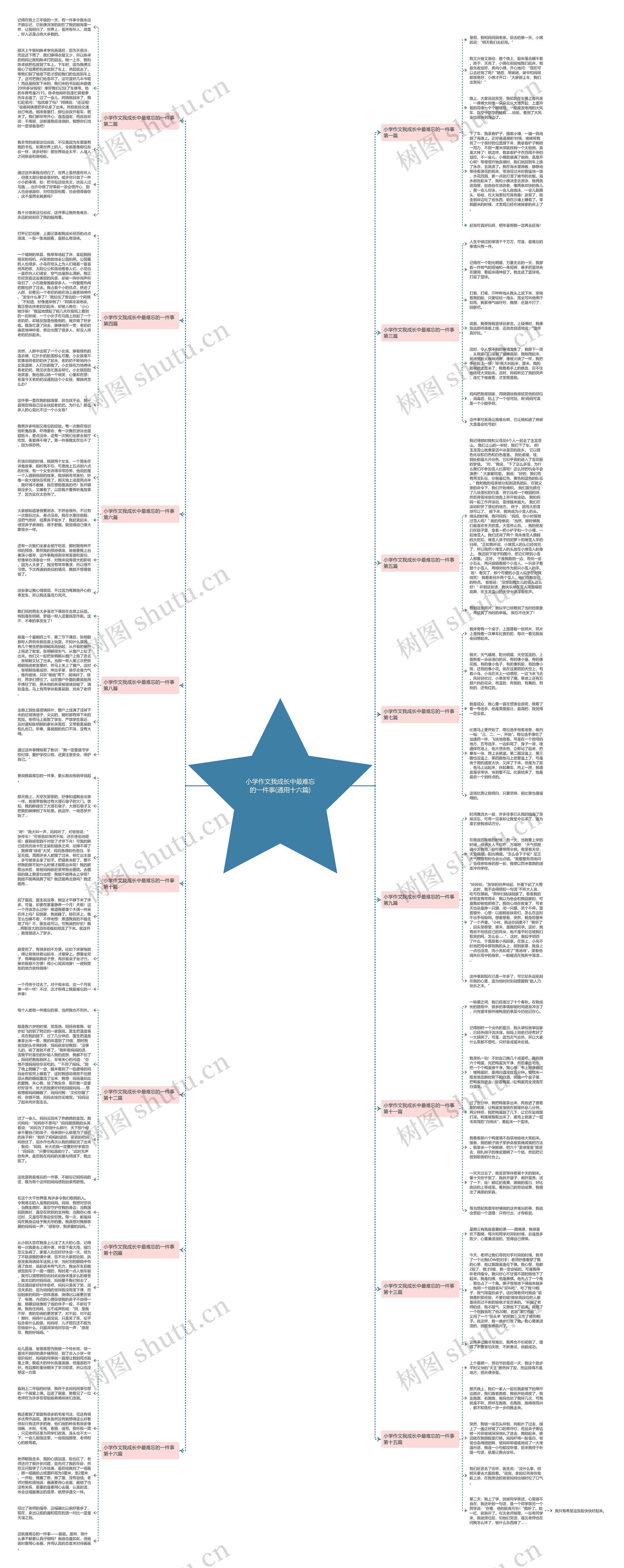 小学作文我成长中最难忘的一件事(通用十六篇)思维导图