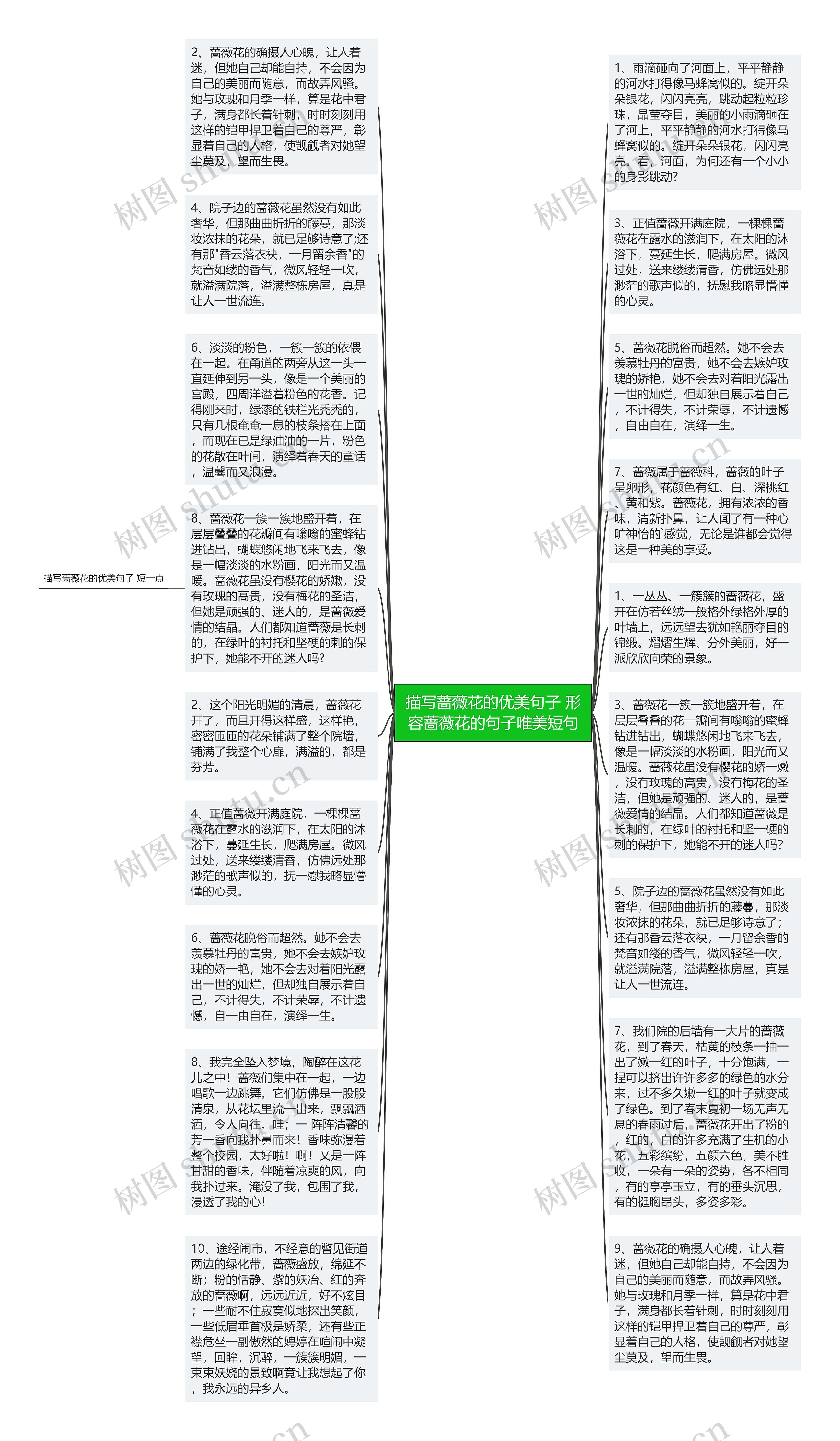 描写蔷薇花的优美句子 形容蔷薇花的句子唯美短句