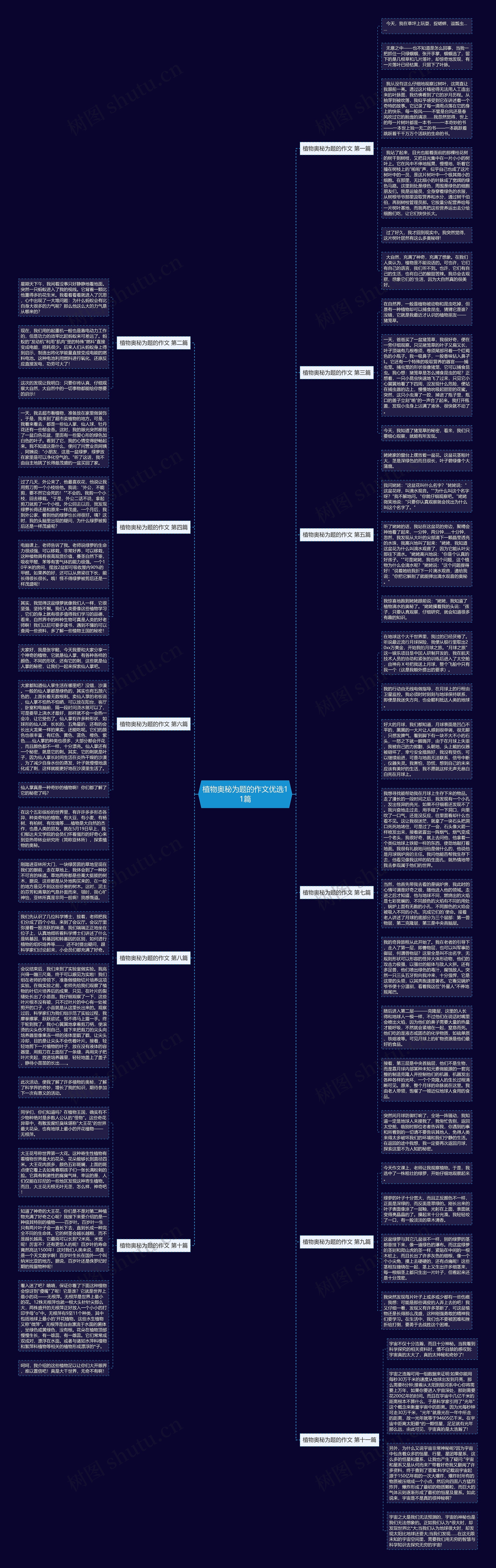 植物奥秘为题的作文优选11篇思维导图