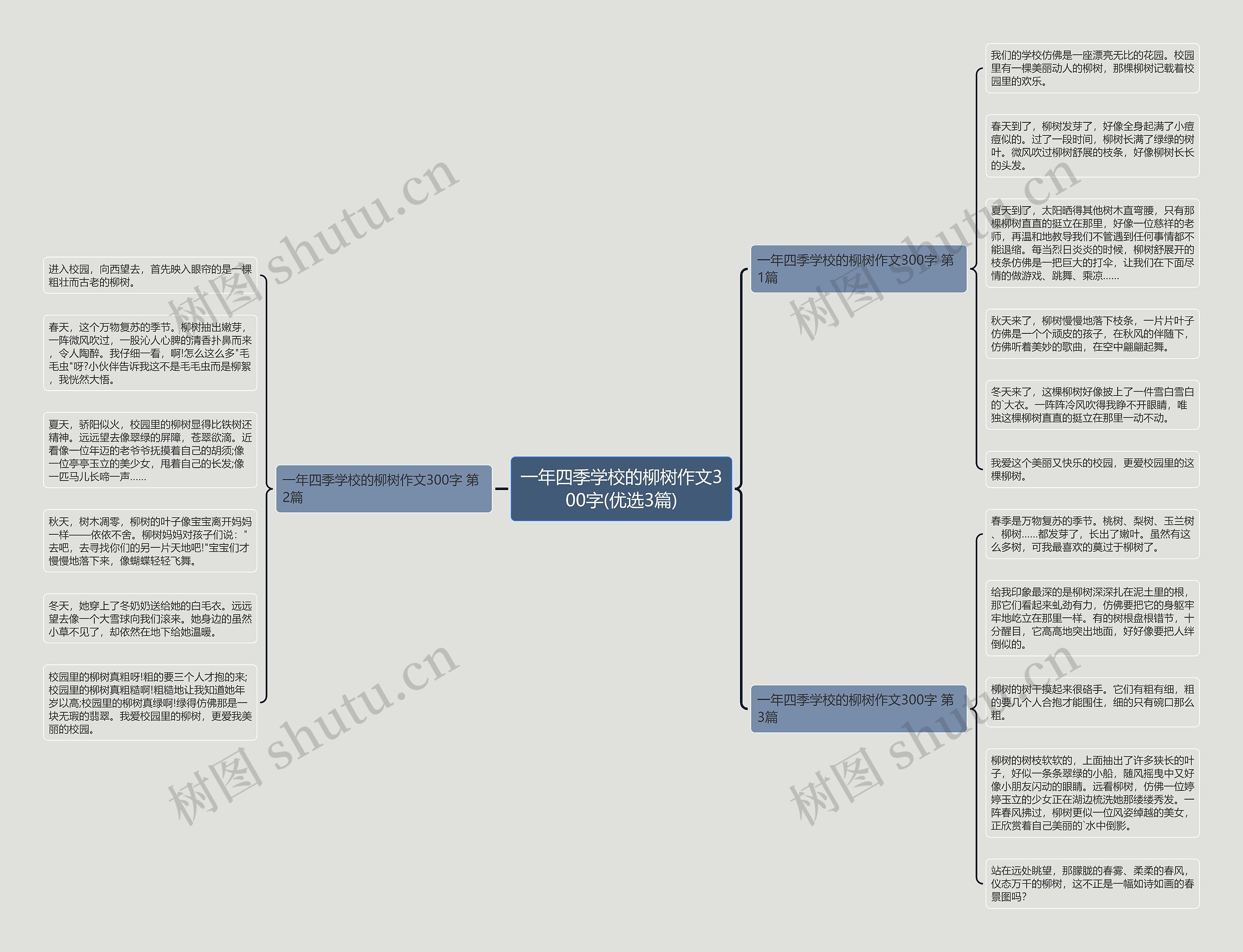 一年四季学校的柳树作文300字(优选3篇)思维导图