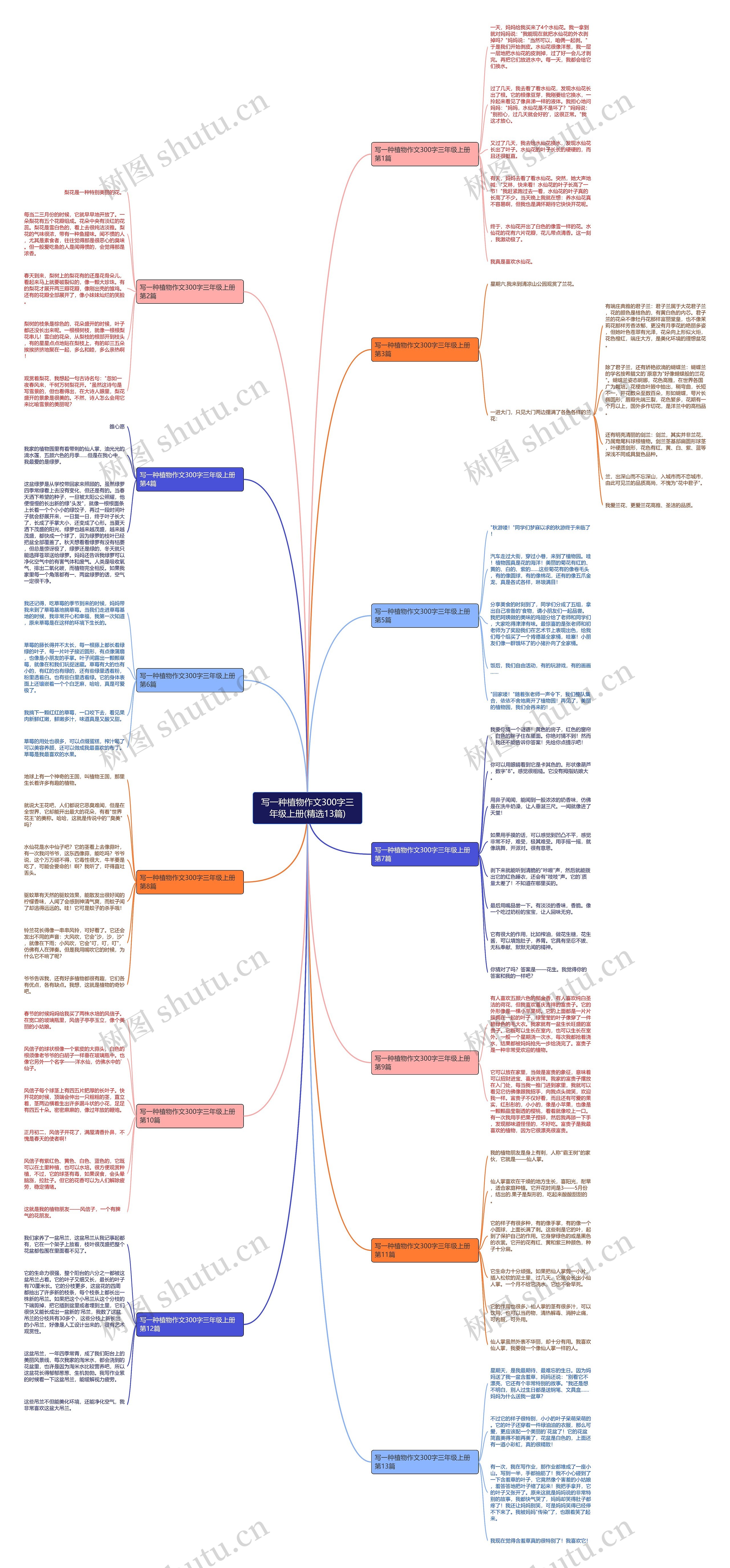 写一种植物作文300字三年级上册(精选13篇) 写一种植物作文300字三年级上册(精选13篇)