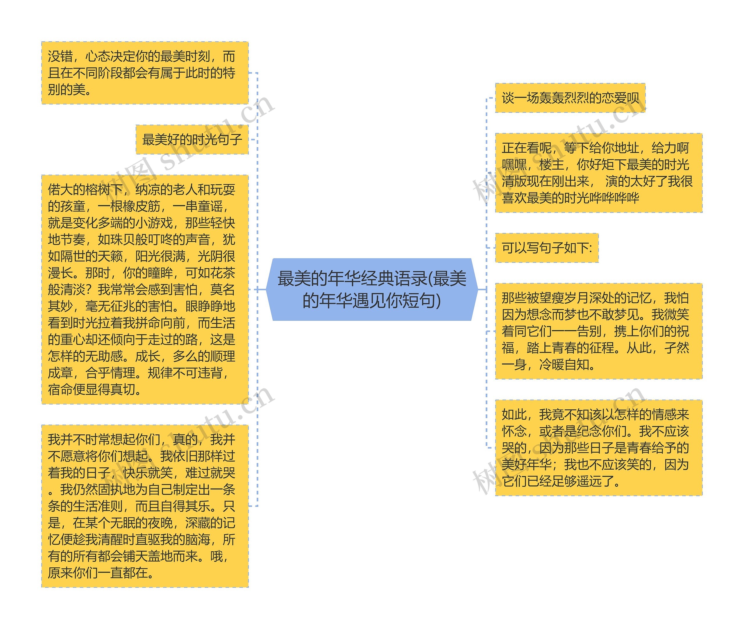 最美的年华经典语录(最美的年华遇见你短句)