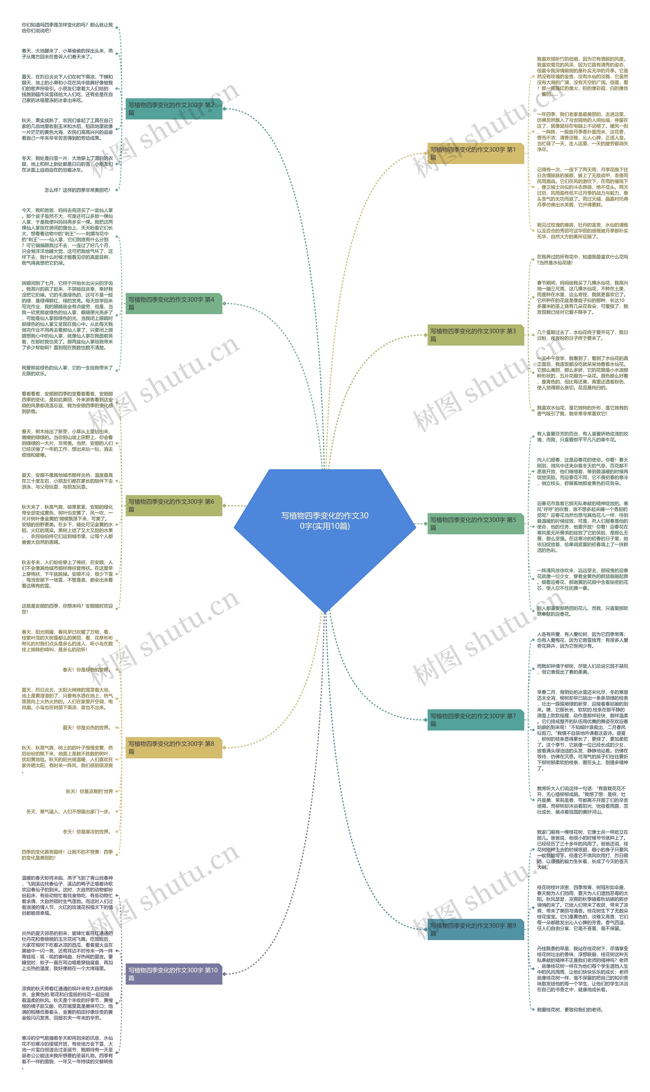 写植物四季变化的作文300字(实用10篇)