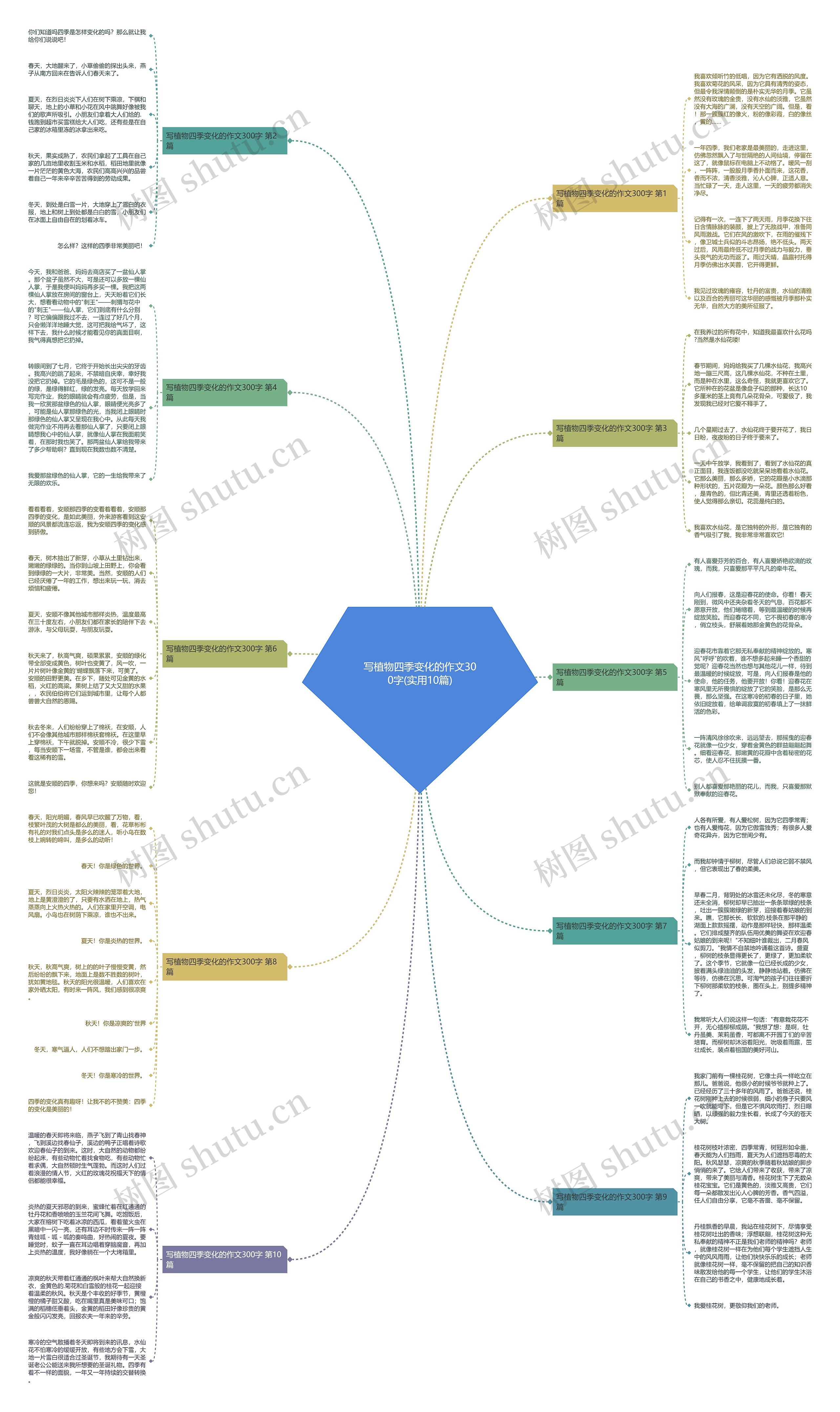写植物四季变化的作文300字(实用10篇) 写植物四季变化的作文300字(实用10篇)