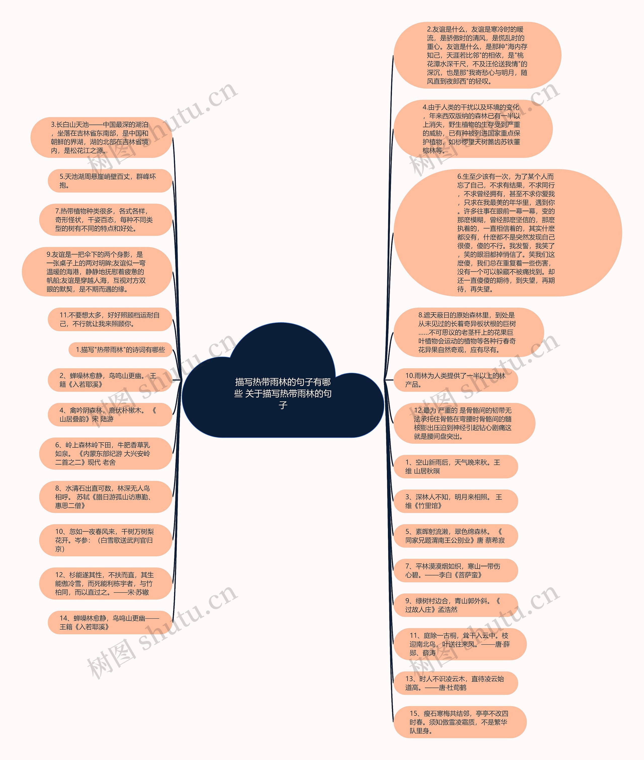 描写热带雨林的句子有哪些 关于描写热带雨林的句子思维导图