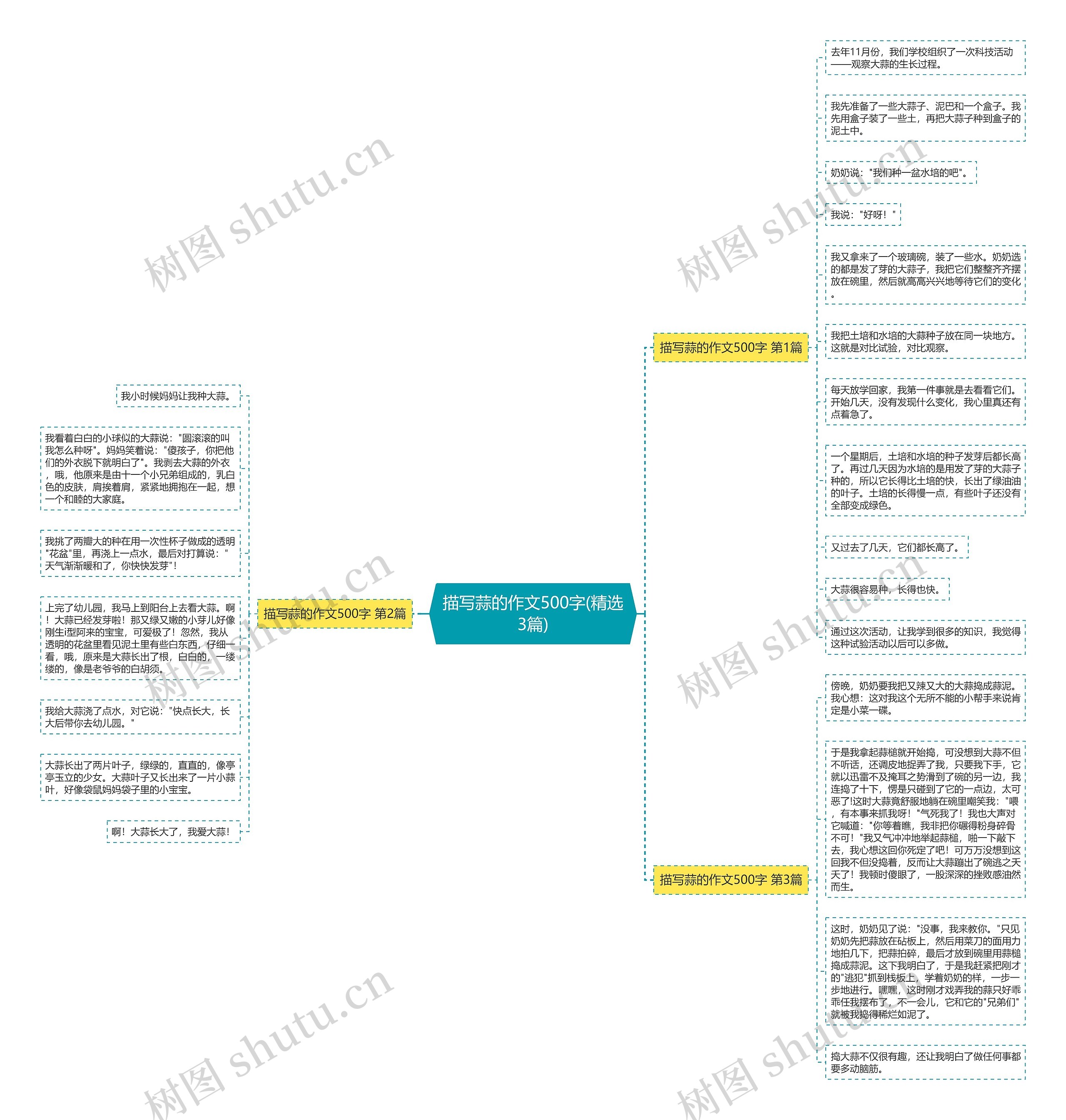 描写蒜的作文500字(精选3篇)思维导图