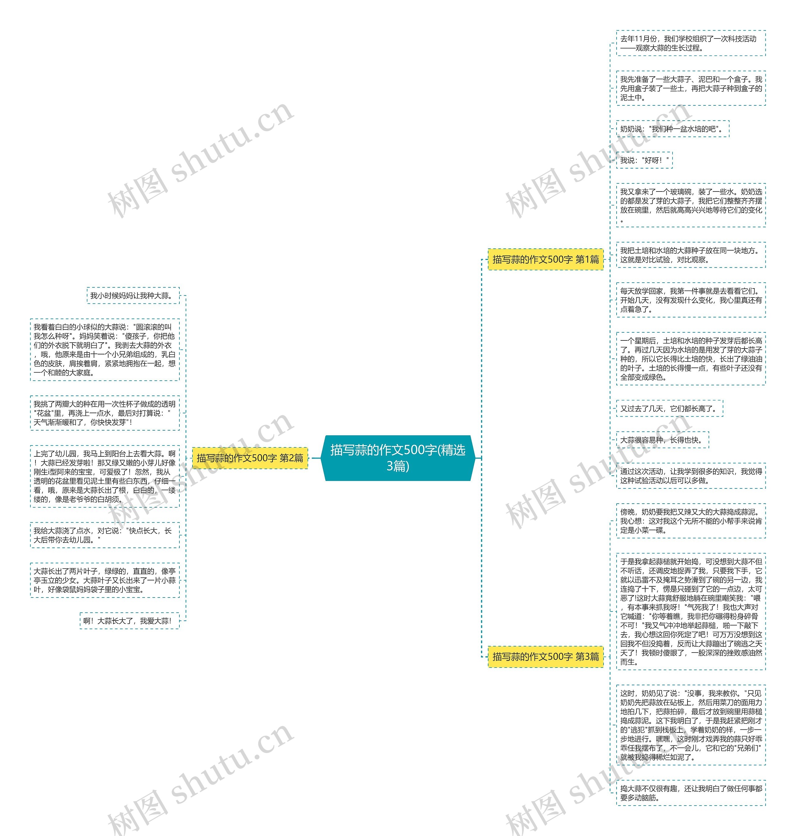 描写蒜的作文500字(精选3篇) 描写蒜的作文500字(精选3篇)