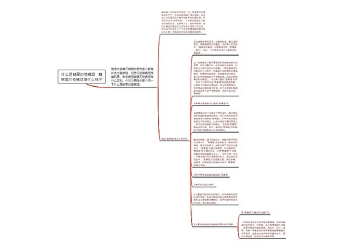 什么是翡翠的苍蝇翅   翡翠里的苍蝇翅是什么样子