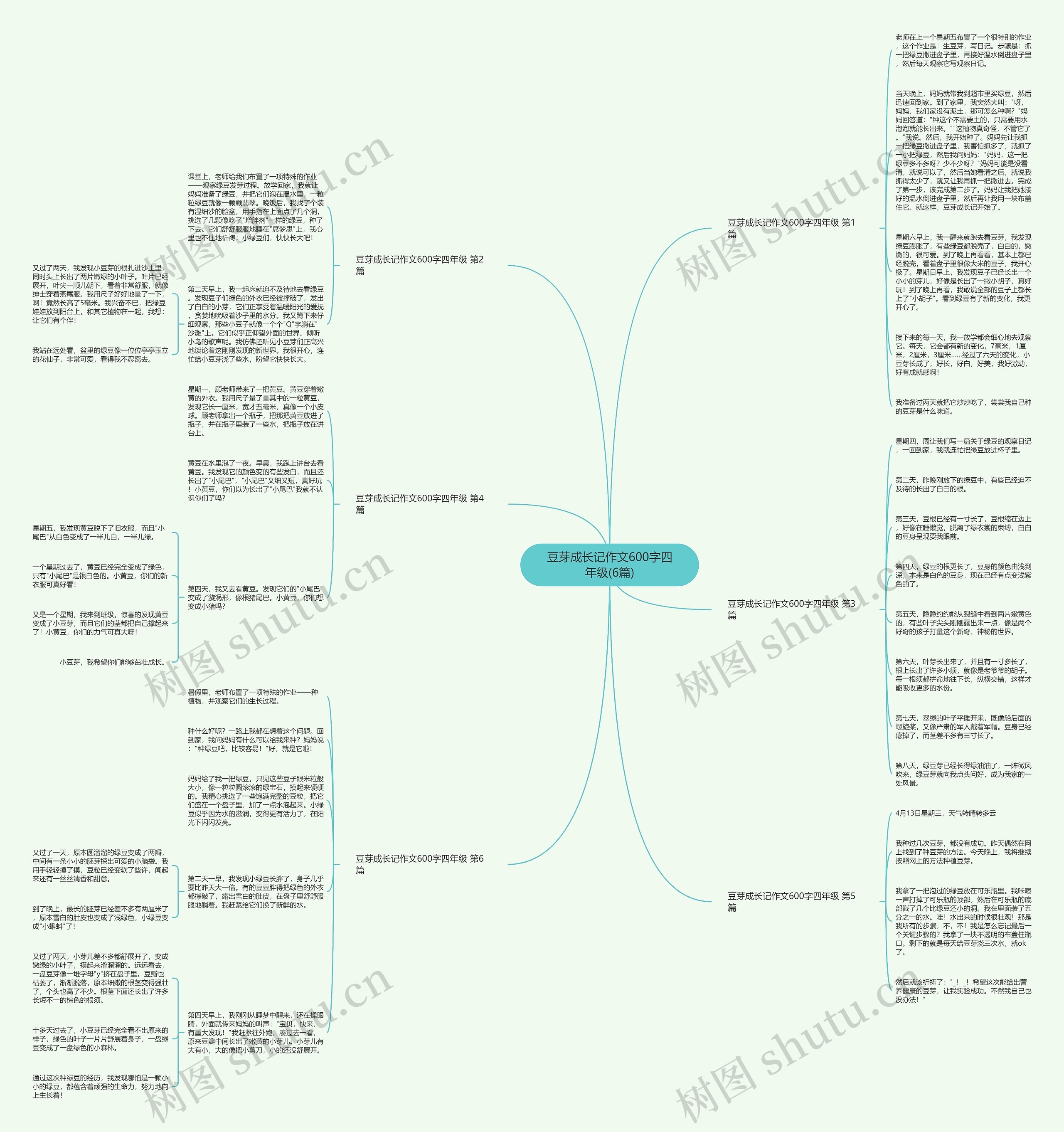 豆芽成长记作文600字四年级(6篇)思维导图