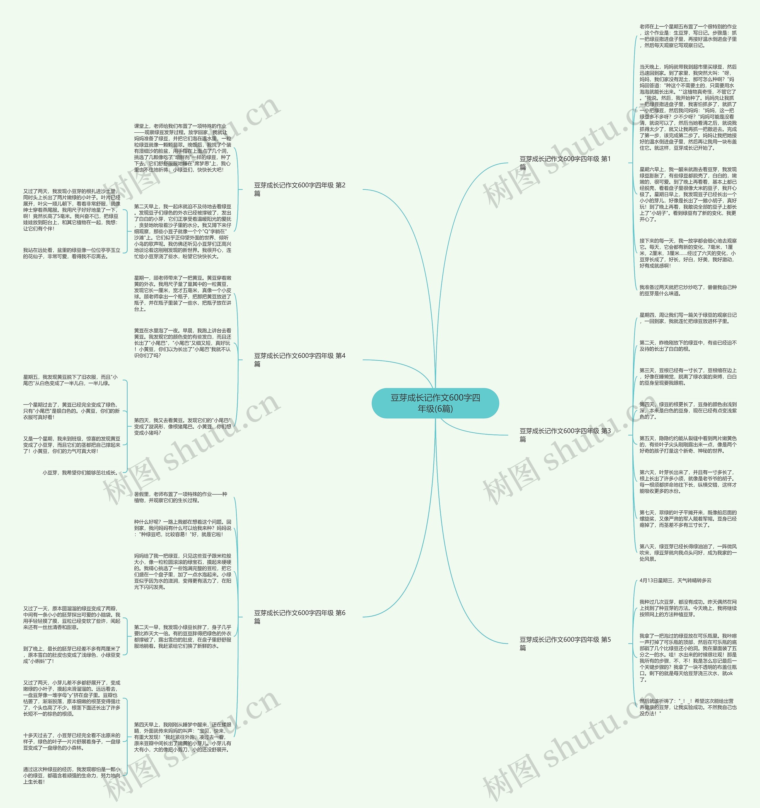 豆芽成长记作文600字四年级(6篇) 豆芽成长记作文600字四年级(6篇)