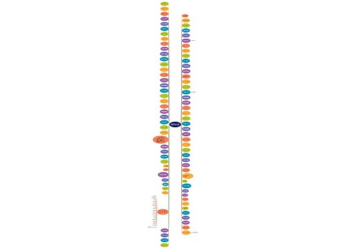 经典语录简短8个字(做最好的自己经典语录简短)思维导图