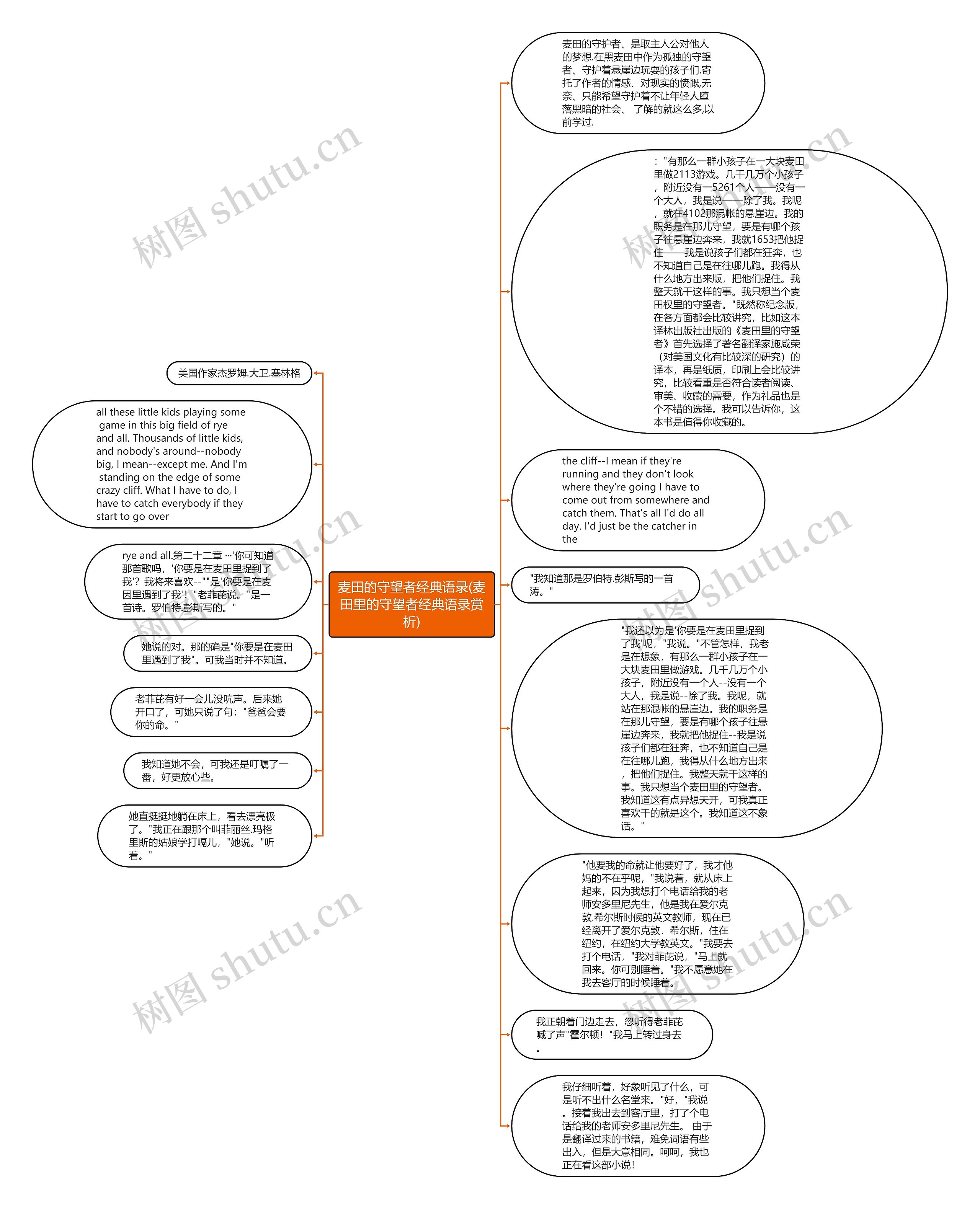 麦田的守望者经典语录(麦田里的守望者经典语录赏析)思维导图