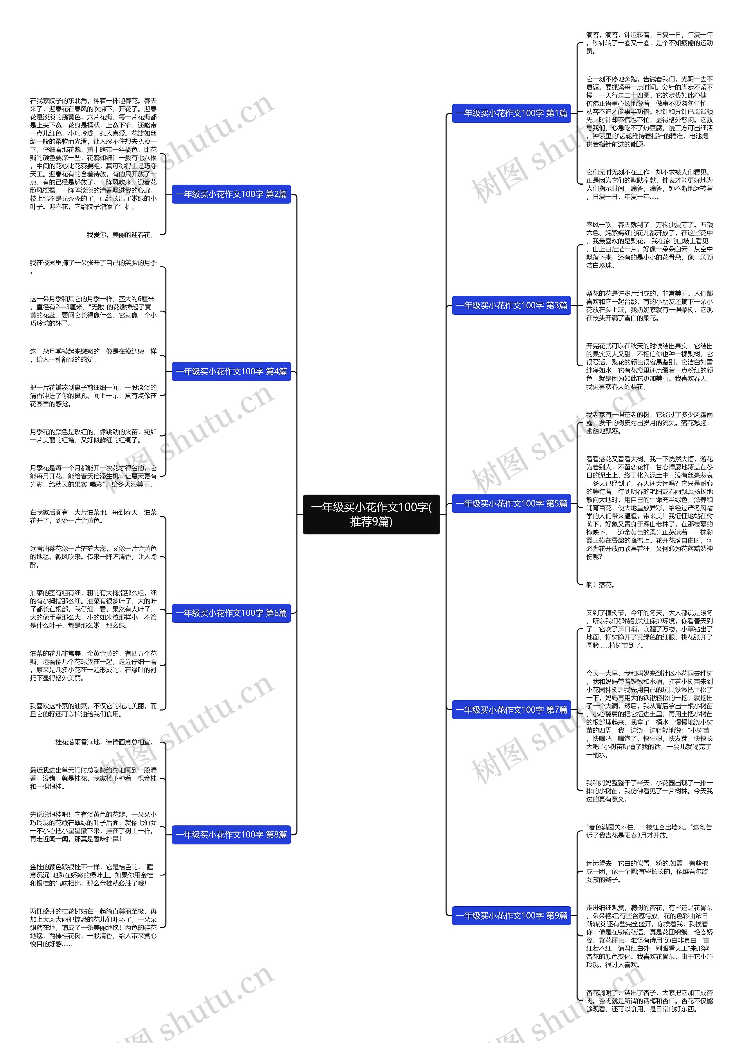 一年级买小花作文100字(推荐9篇)思维导图