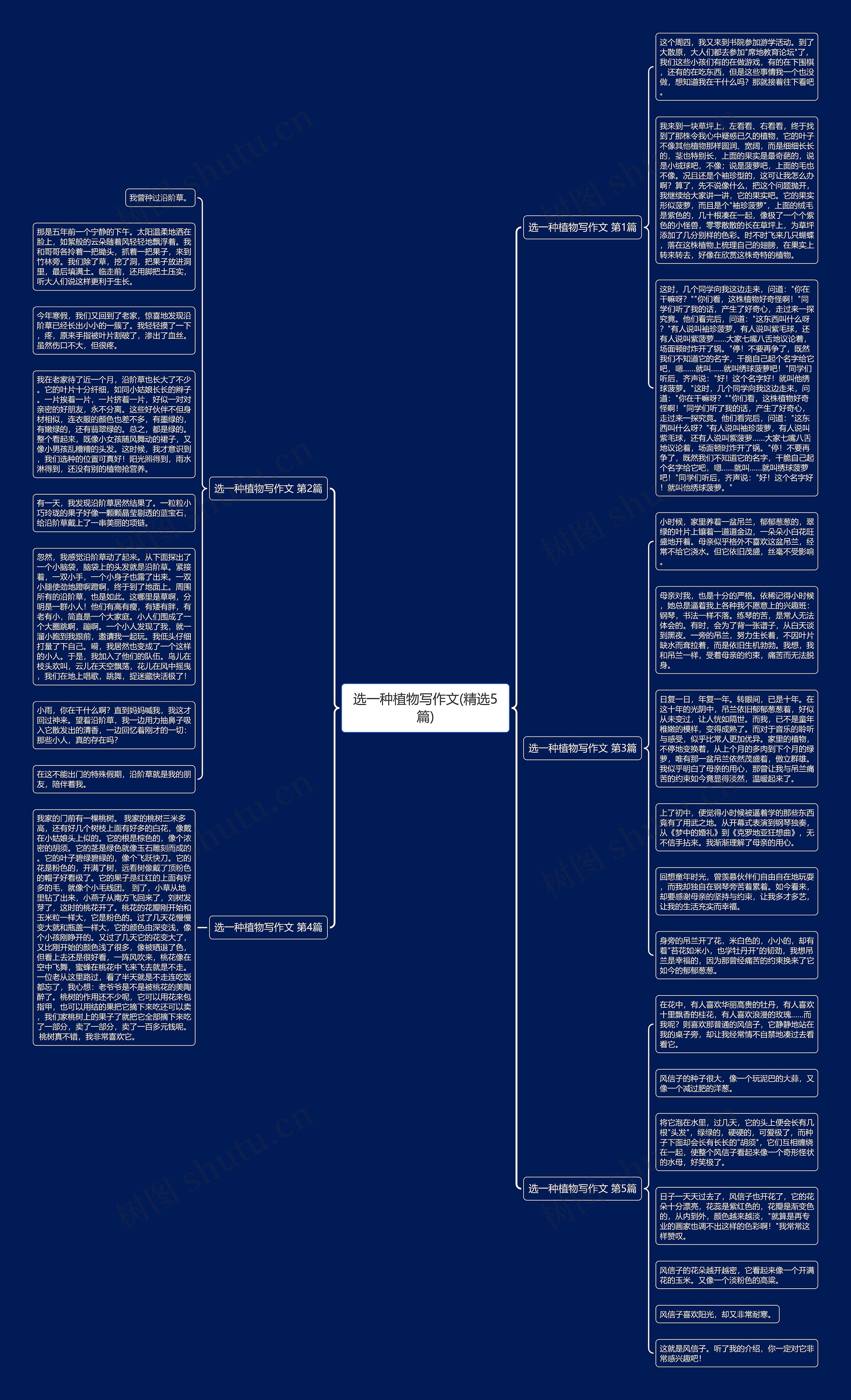 选一种植物写作文(精选5篇)思维导图