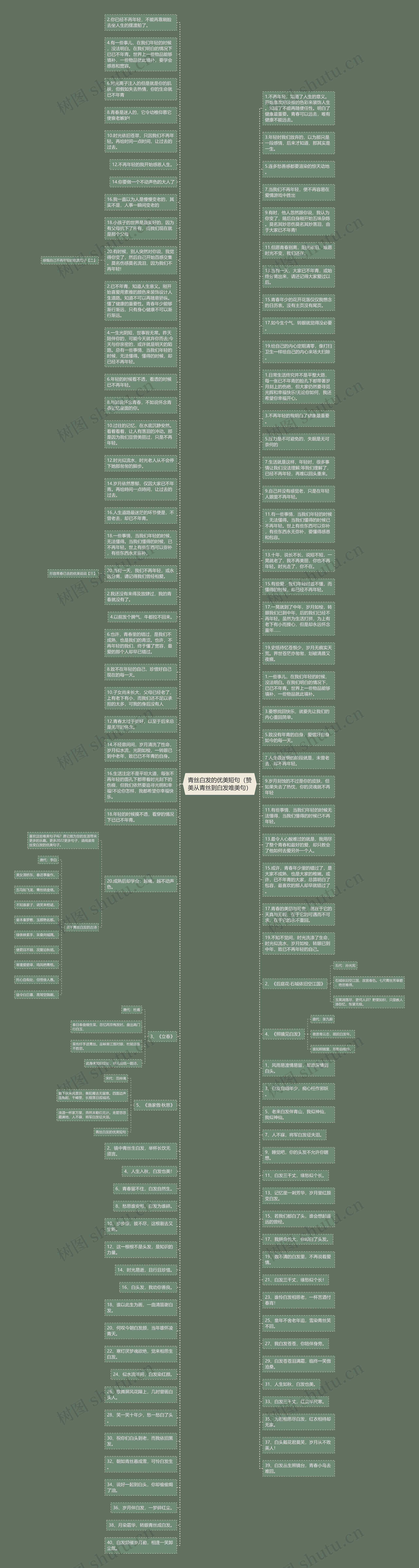 青丝白发的优美短句（赞美从青丝到白发唯美句）思维导图