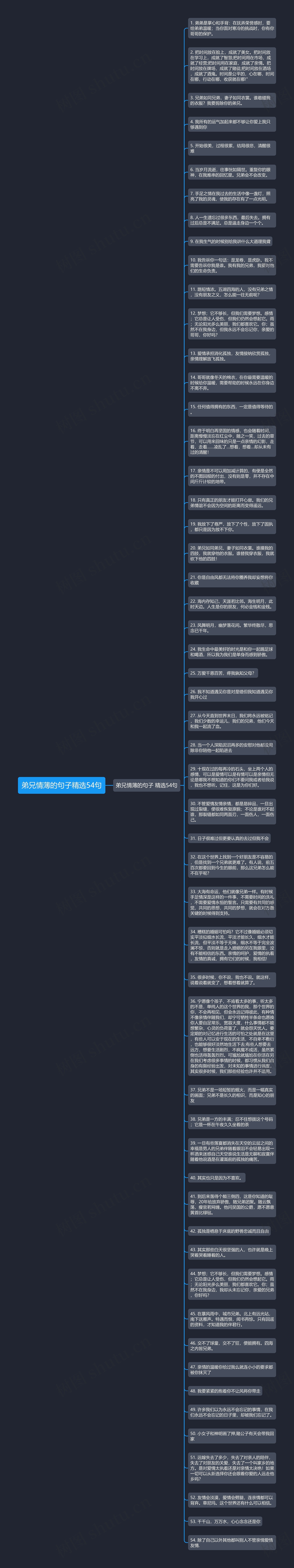 弟兄情薄的句子精选54句思维导图