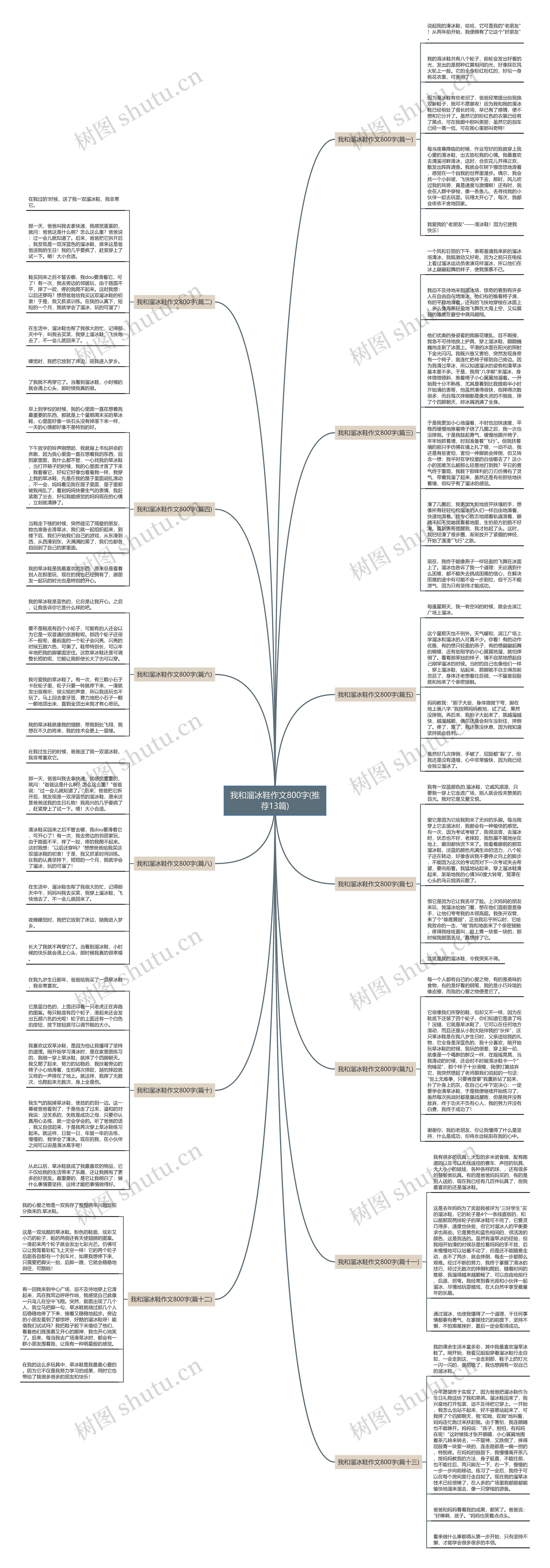 我和溜冰鞋作文800字(推荐13篇)思维导图