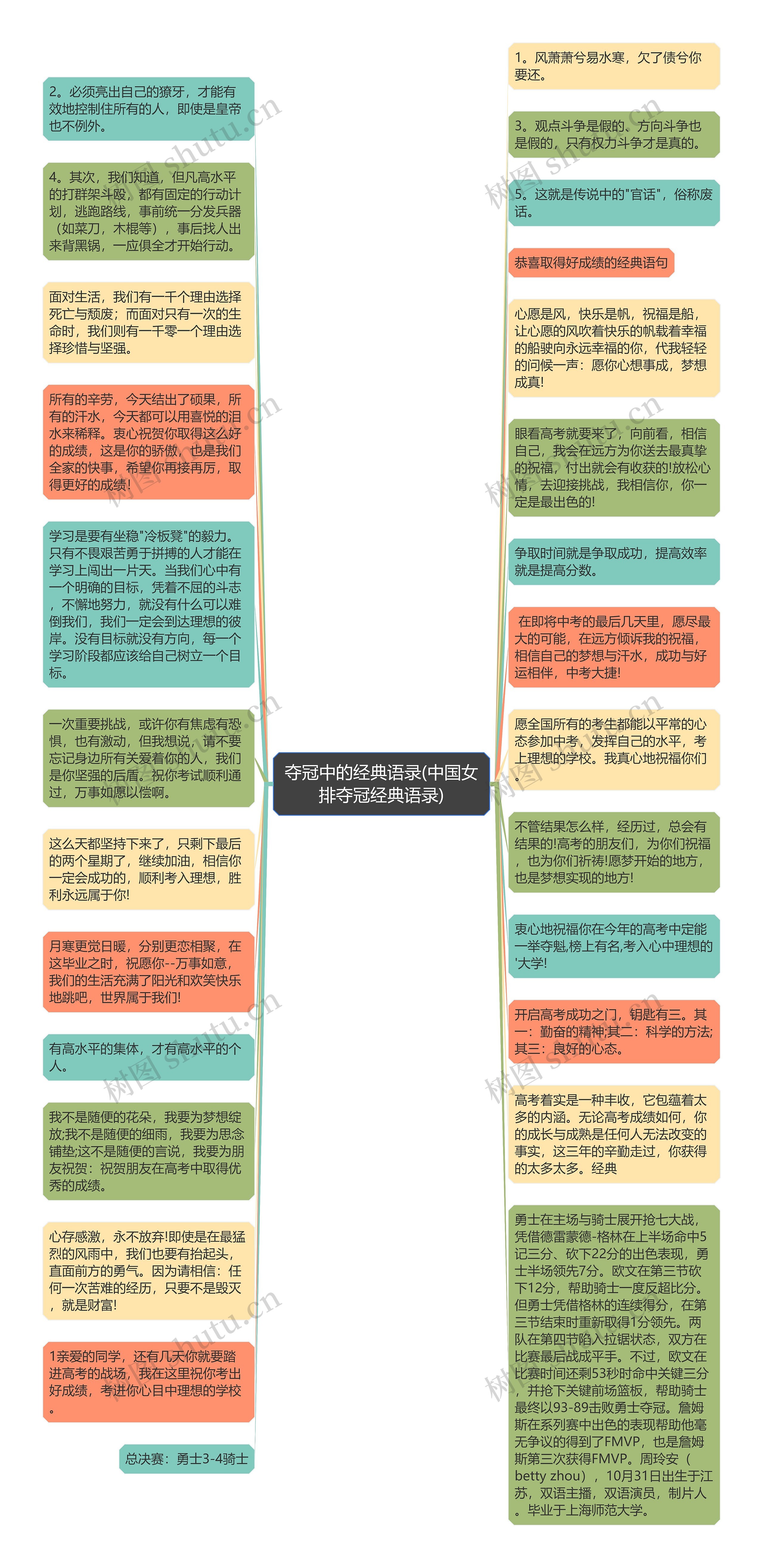 夺冠中的经典语录(中国女排夺冠经典语录)思维导图