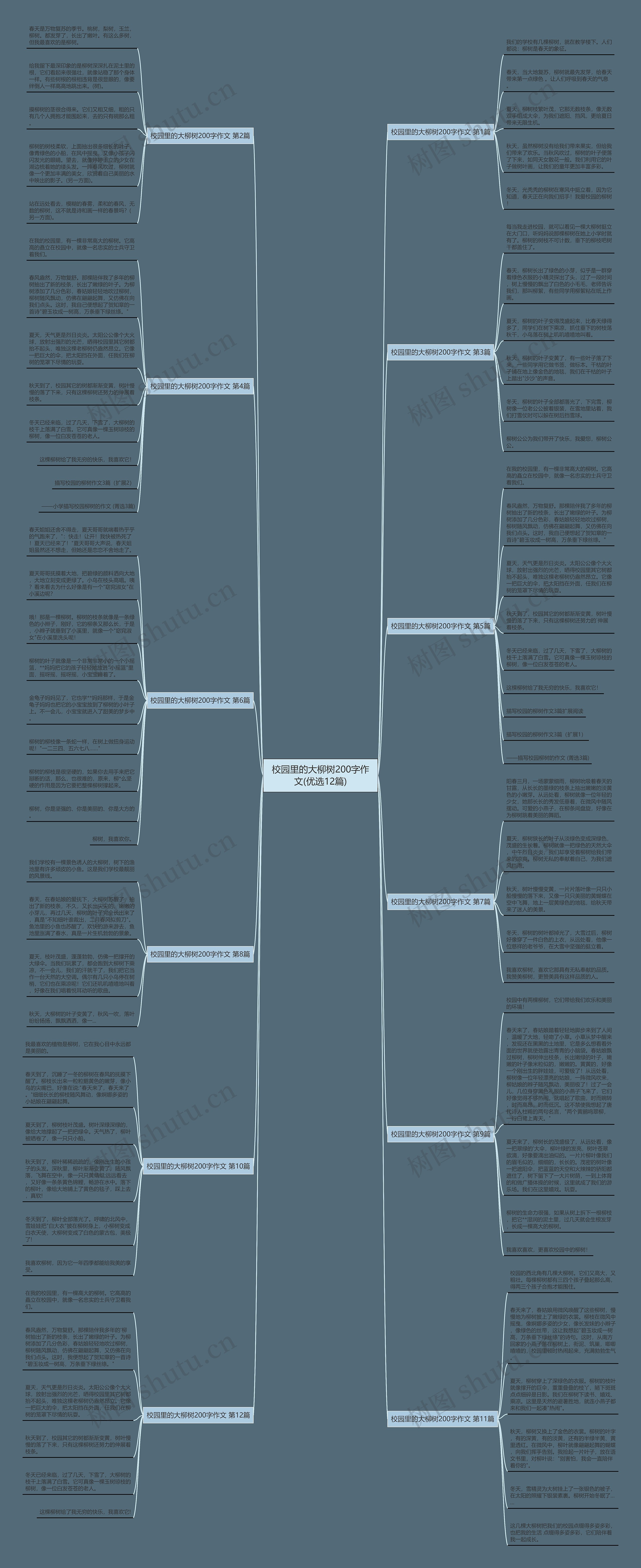 校园里的大柳树200字作文(优选12篇)思维导图