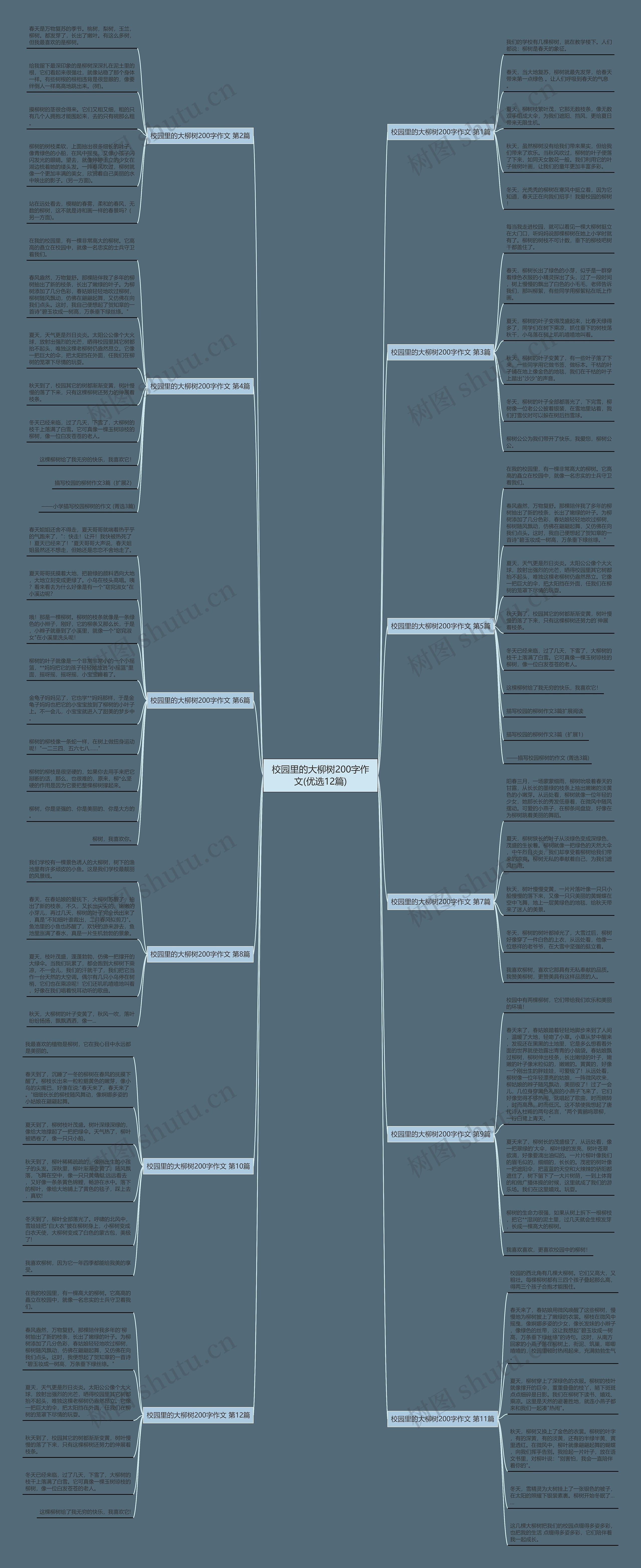 校园里的大柳树200字作文(优选12篇) 校园里的大柳树200字作文(优选12篇)